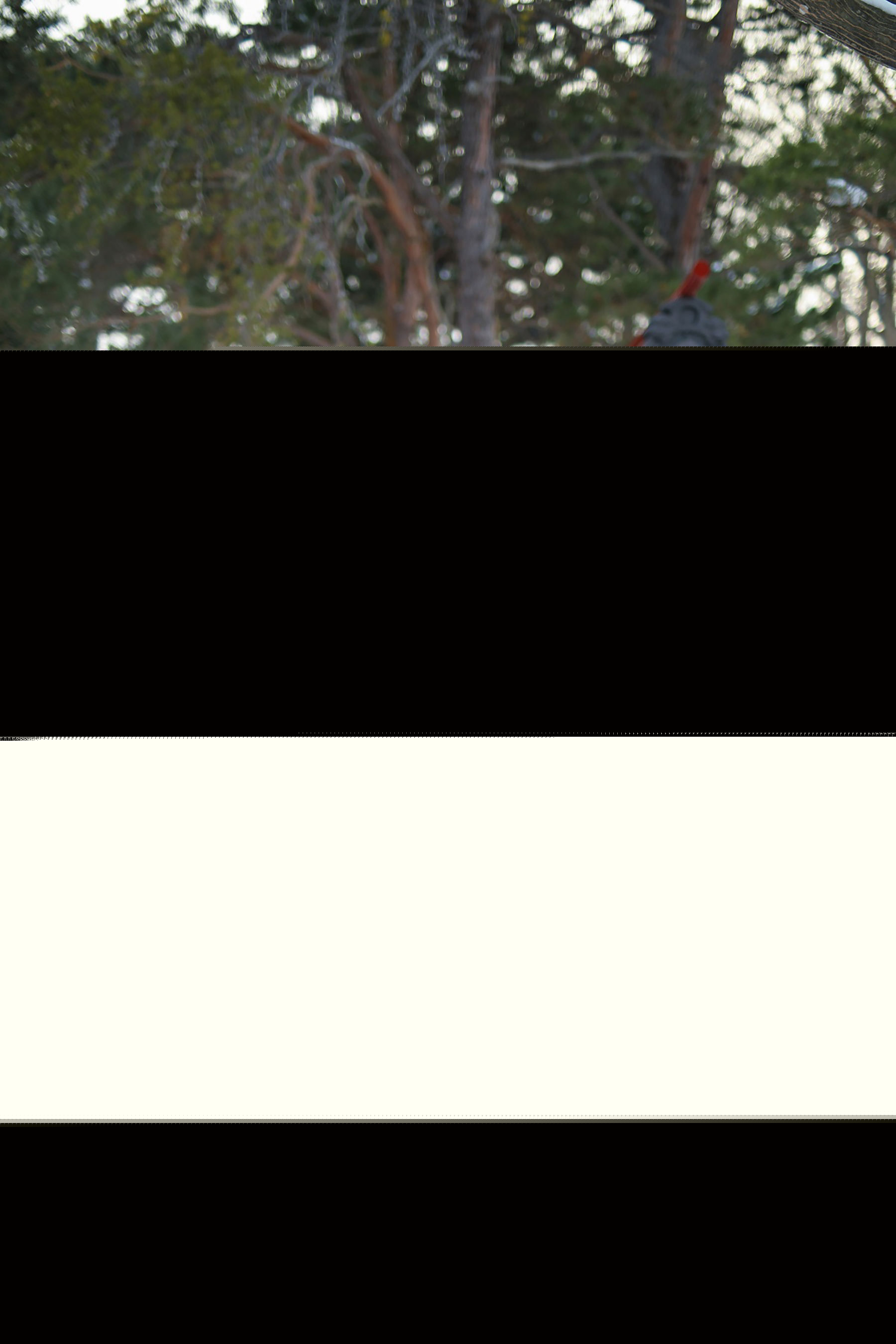 XiuRen 秀人网 No.1228 猫宝 插图7