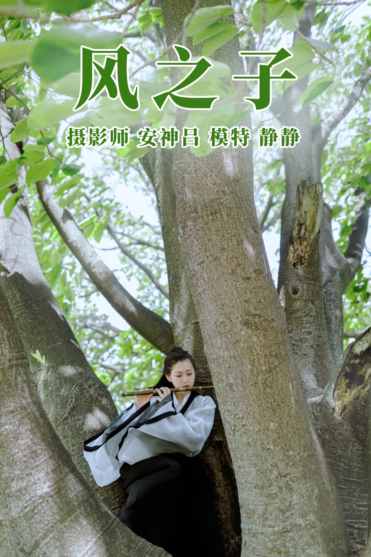 静静 – 《风之子》[21P] 插图1
