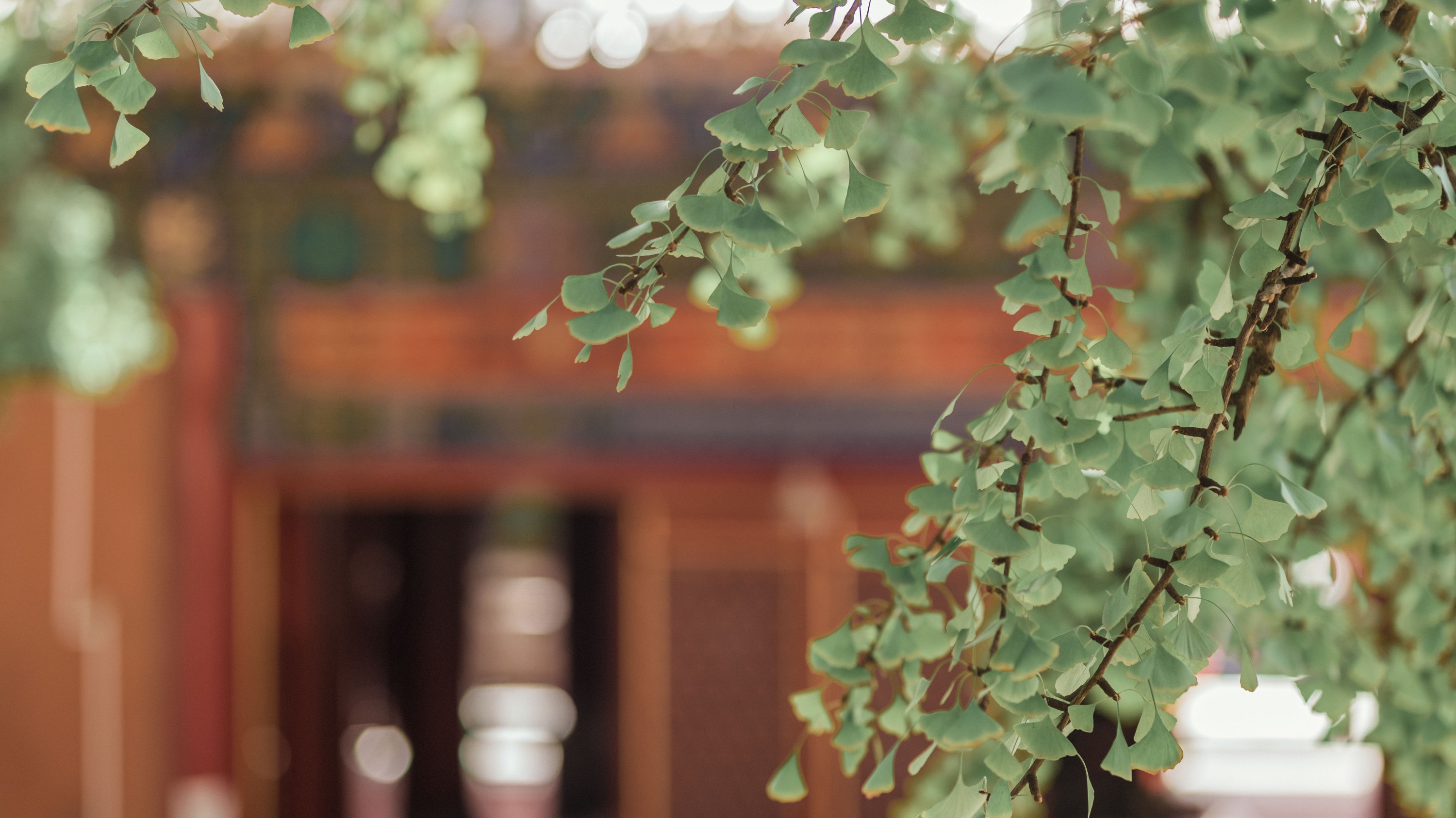 图片[6]-小辣椒 – 《浮生若梦》[22P]-COS写真在线网