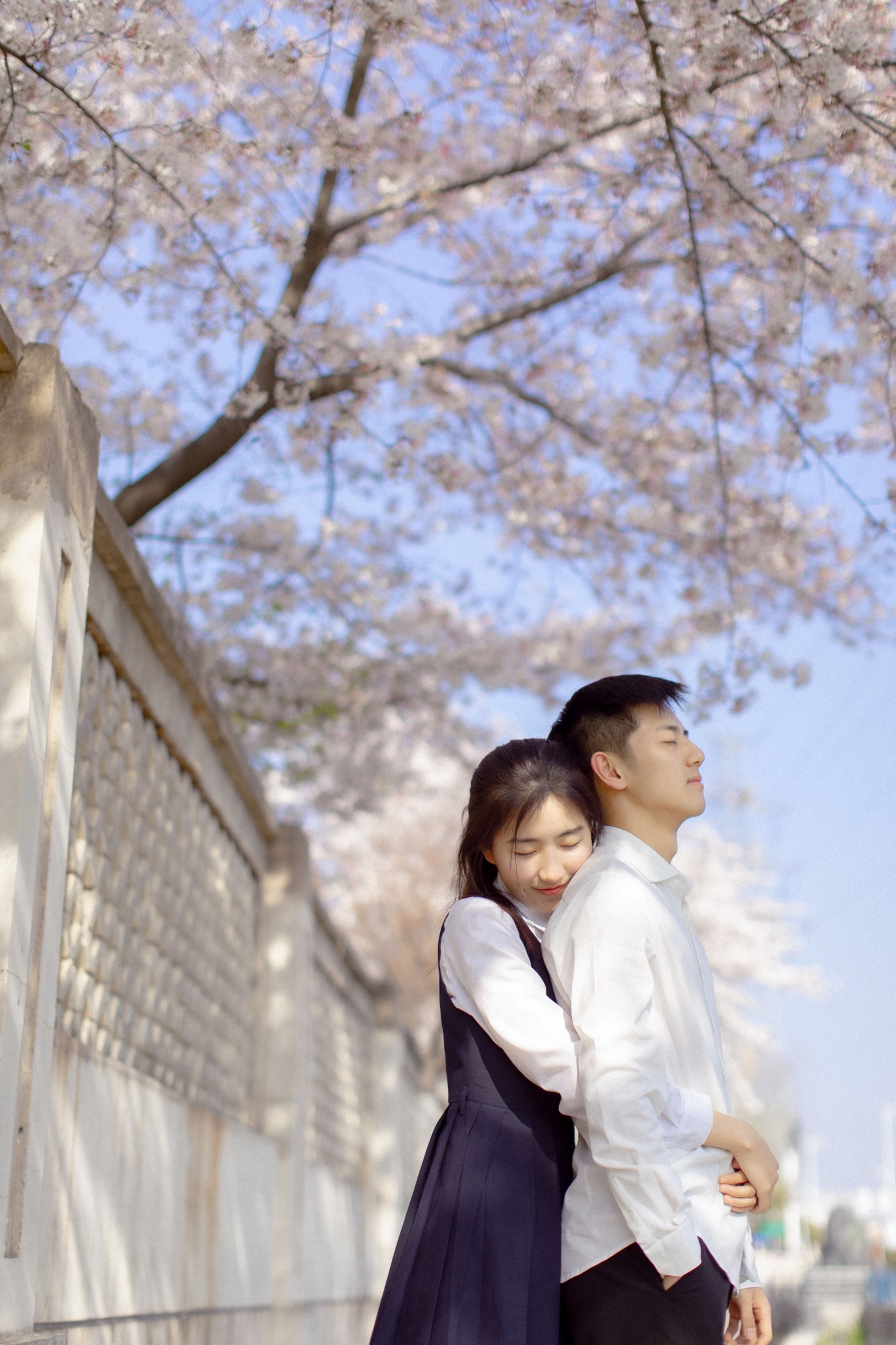 图片[4]-模特合集 – 《粉樱花语》[28P]-COS写真在线网