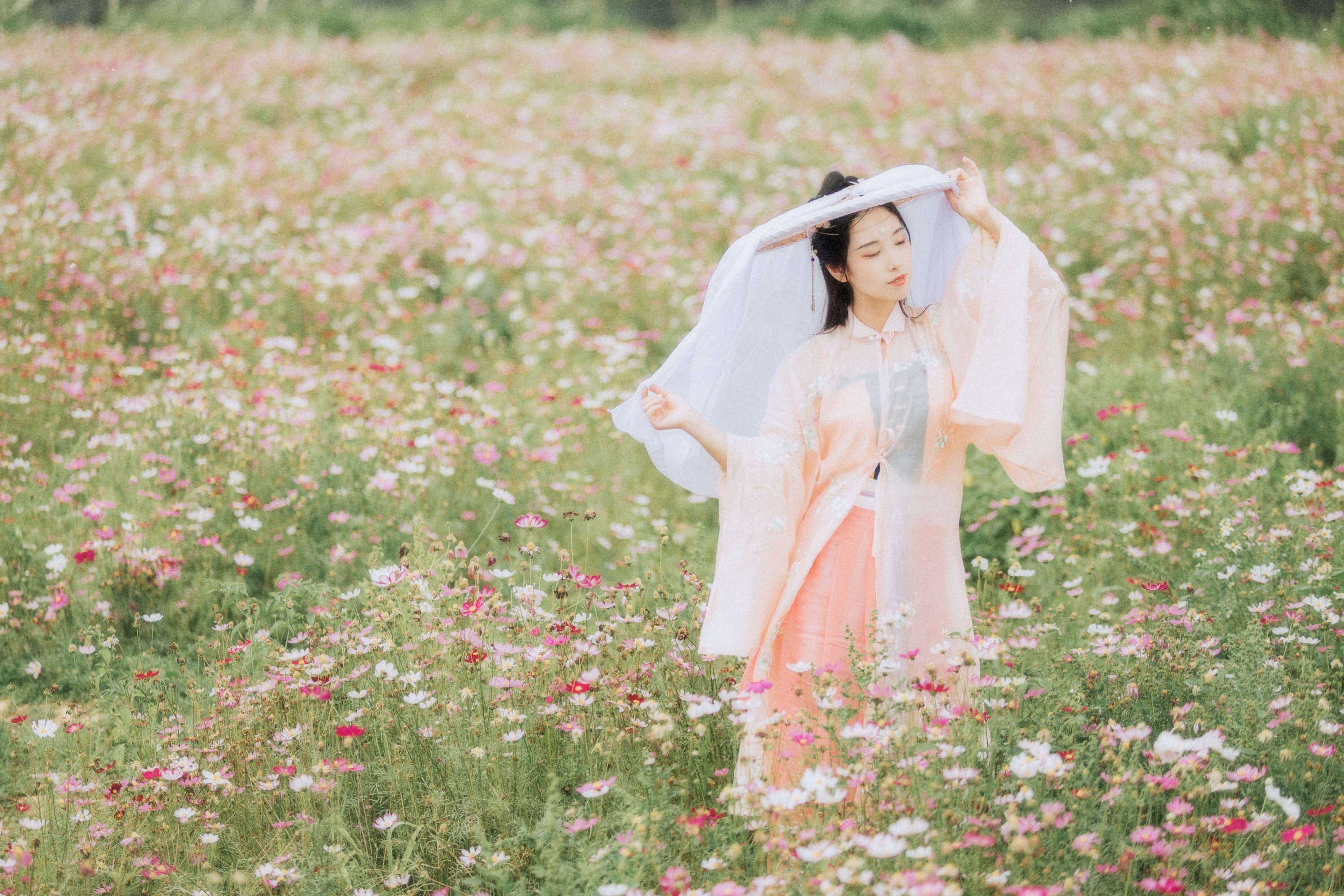 茶茶 – 《繁花孤影》[24P] 插图3