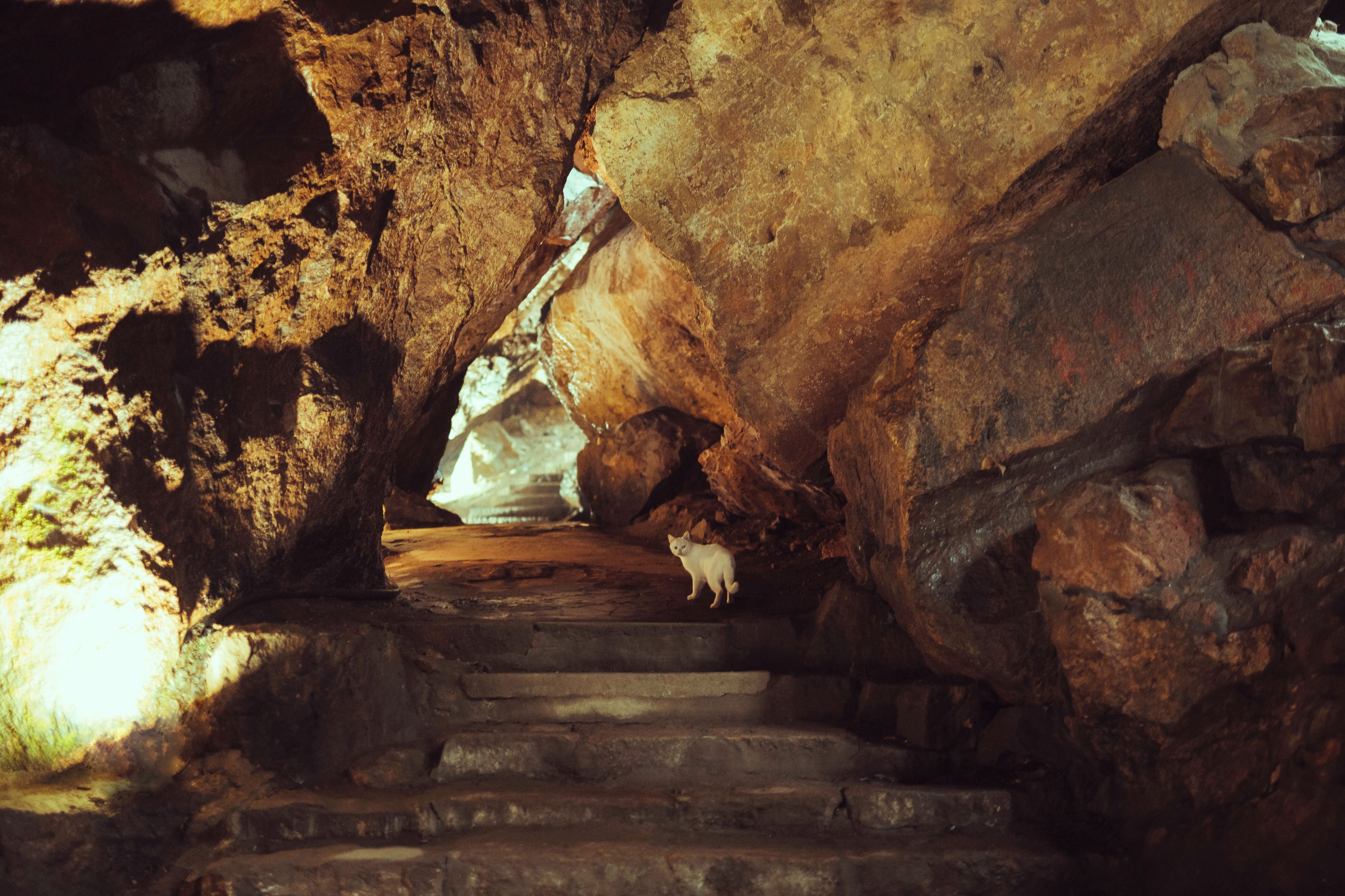 图片[6]-庄翰_Roya – 《洞仙歌》[23P]-COS写真在线网