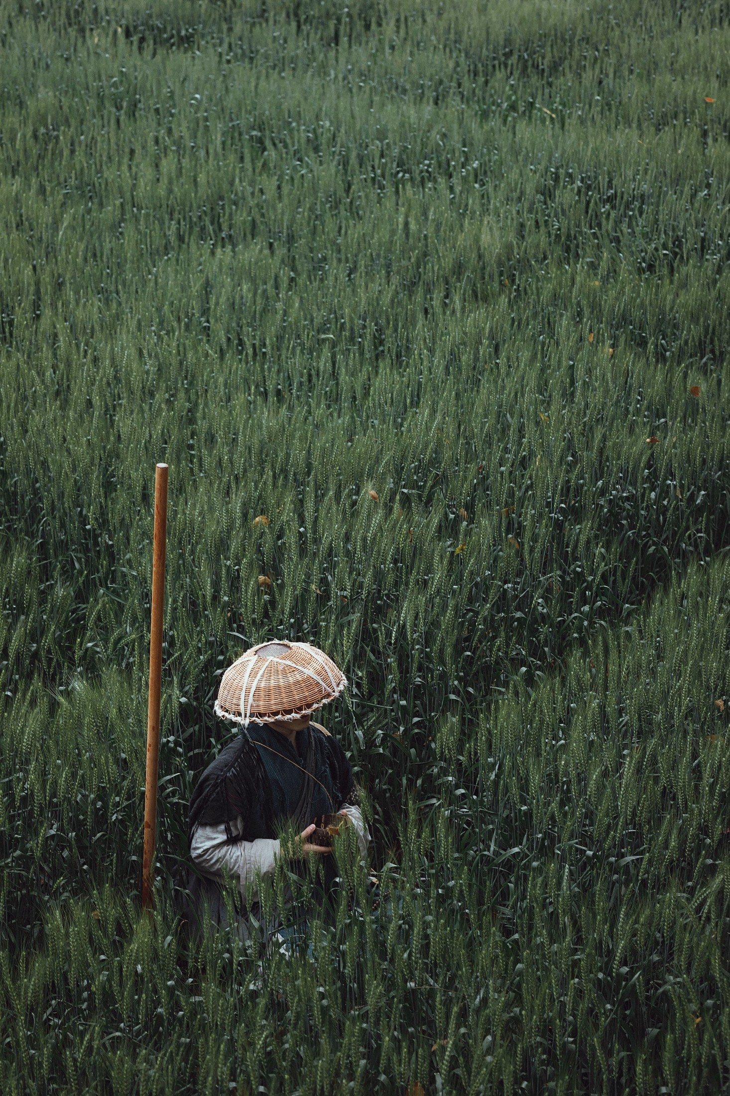 图片[6]-辣条师傅 – 《游僧》[34P]-COS写真在线网