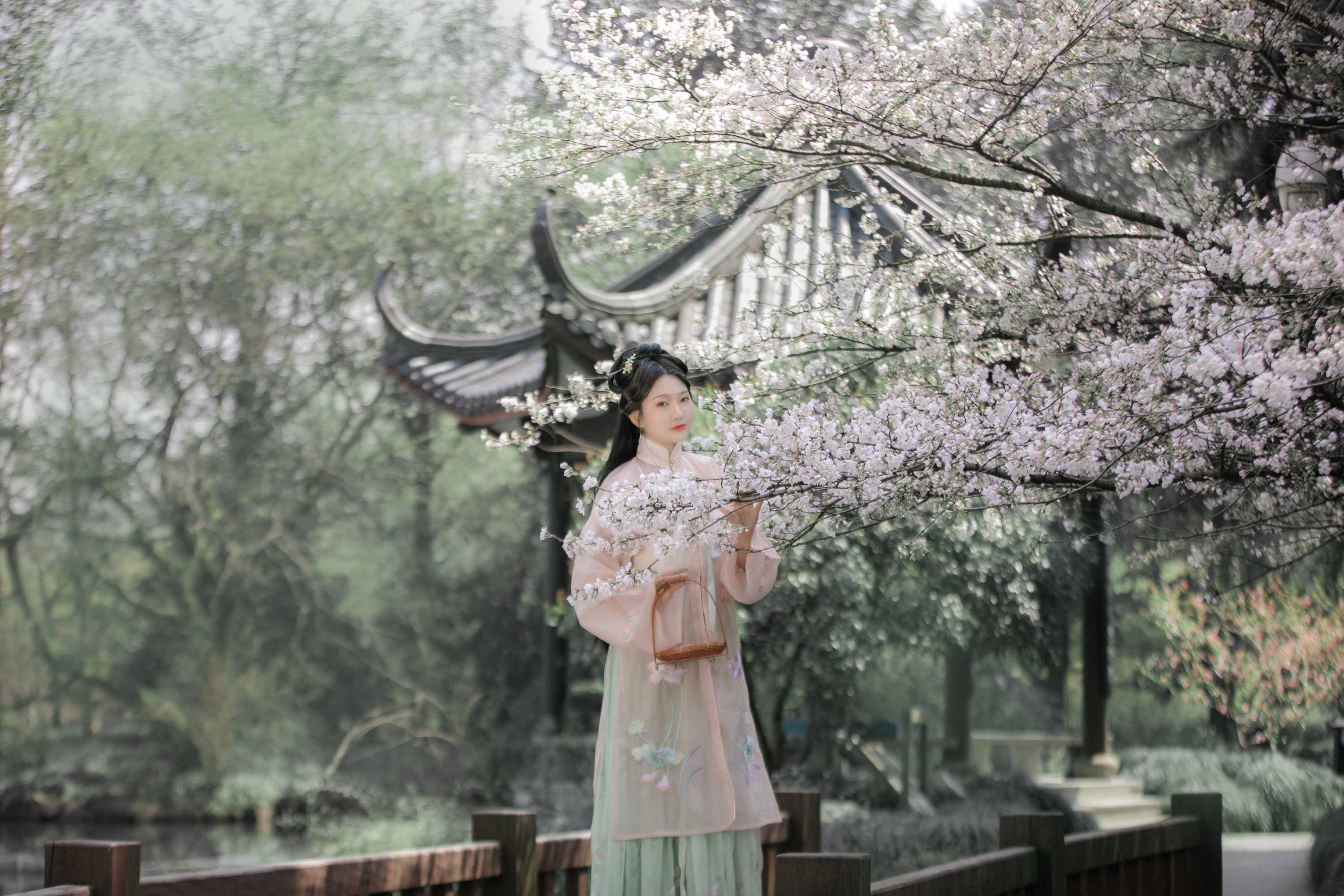 包包 – 《樱》[22P] 插图5