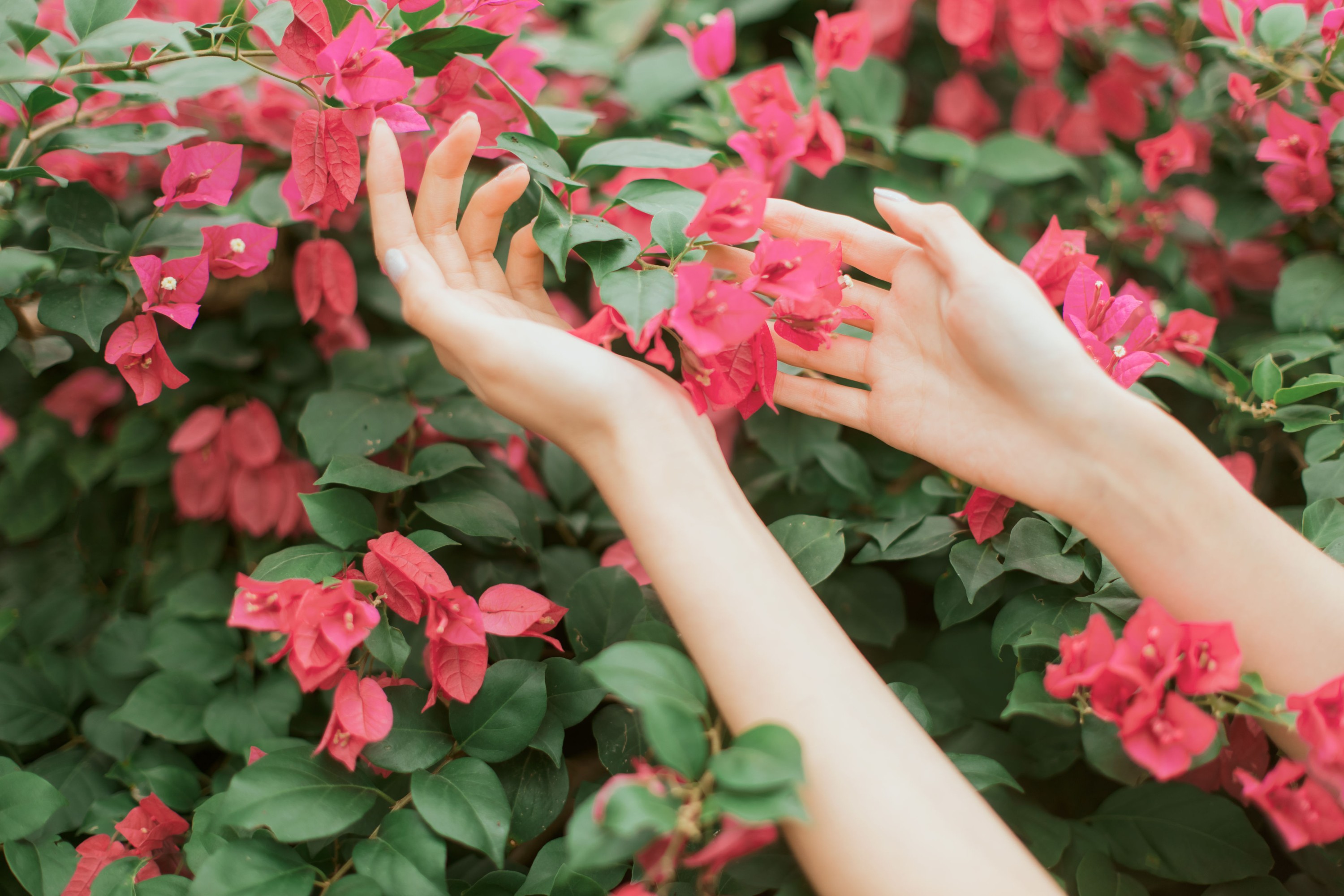 航子就是航子呀 – 《花开的季节》[40P] 插图3