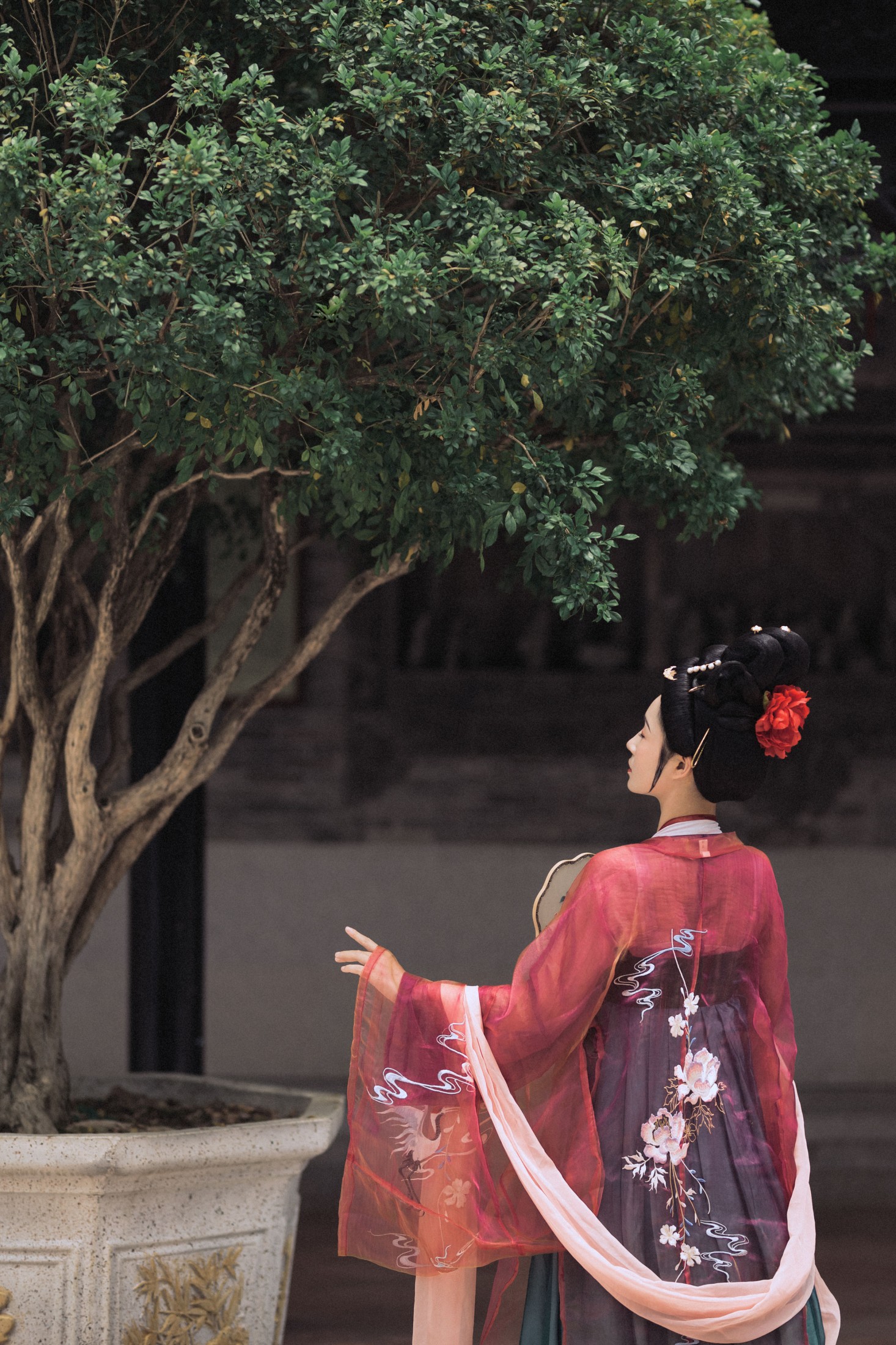 图片[6]-瑞雪mizuyuki – 《罗敷媚》[25P]-COS写真在线网