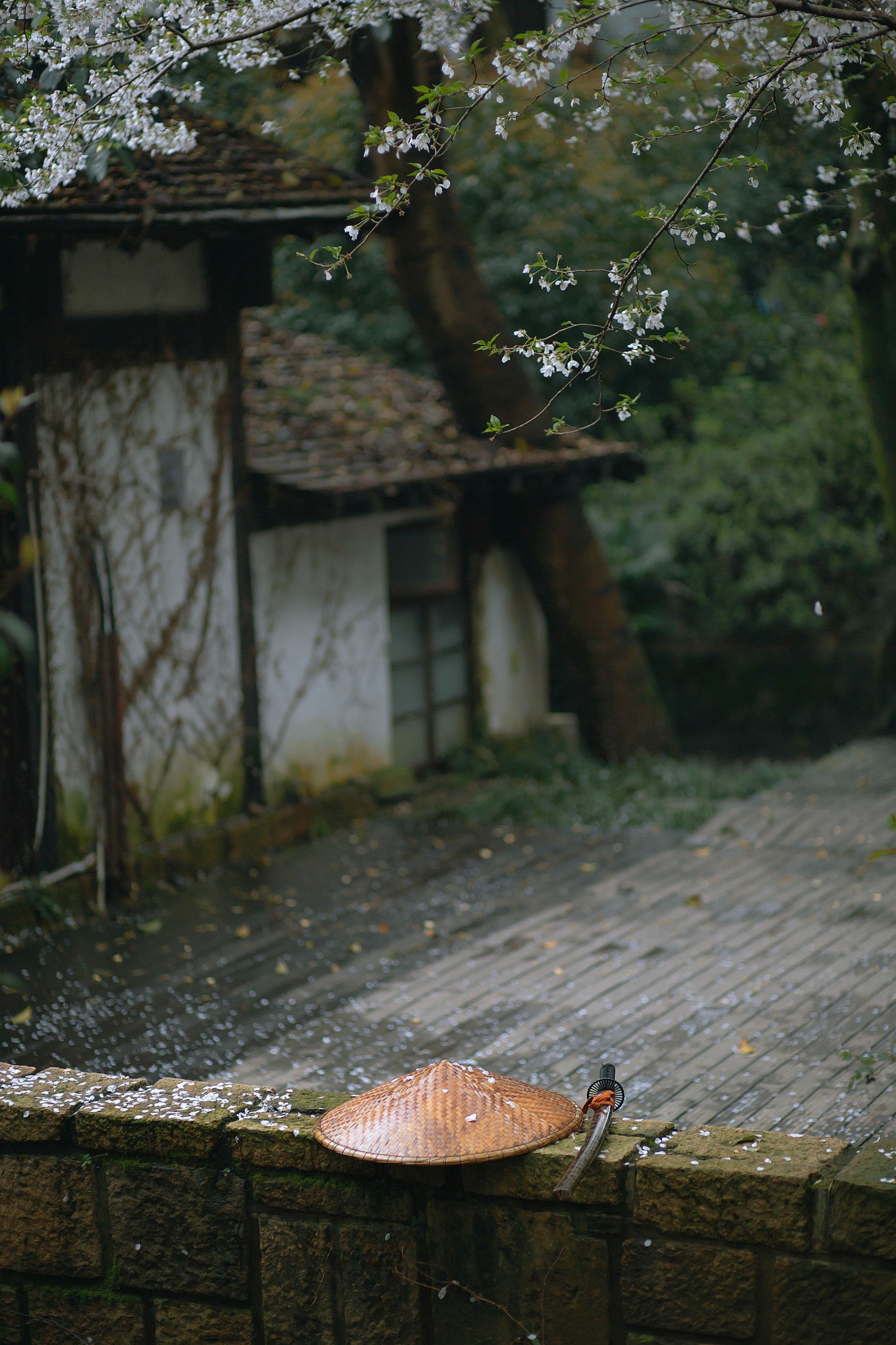 图片[6]-老乔kyo-presso – 《犬侍》[21P]-COS写真在线网