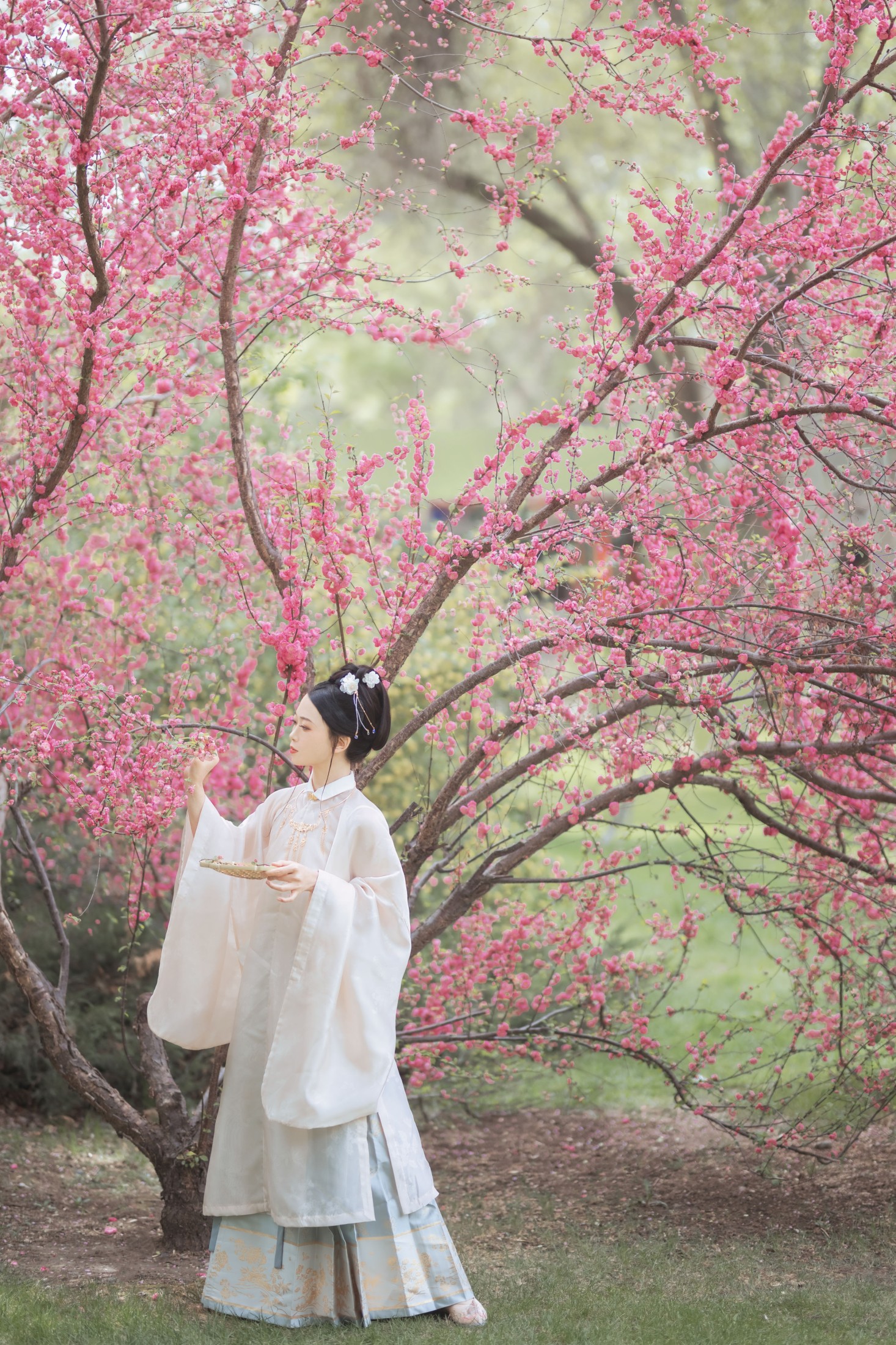 图片[6]-蜡笔小新 – 《丁香绪》[24P]-COS写真在线网