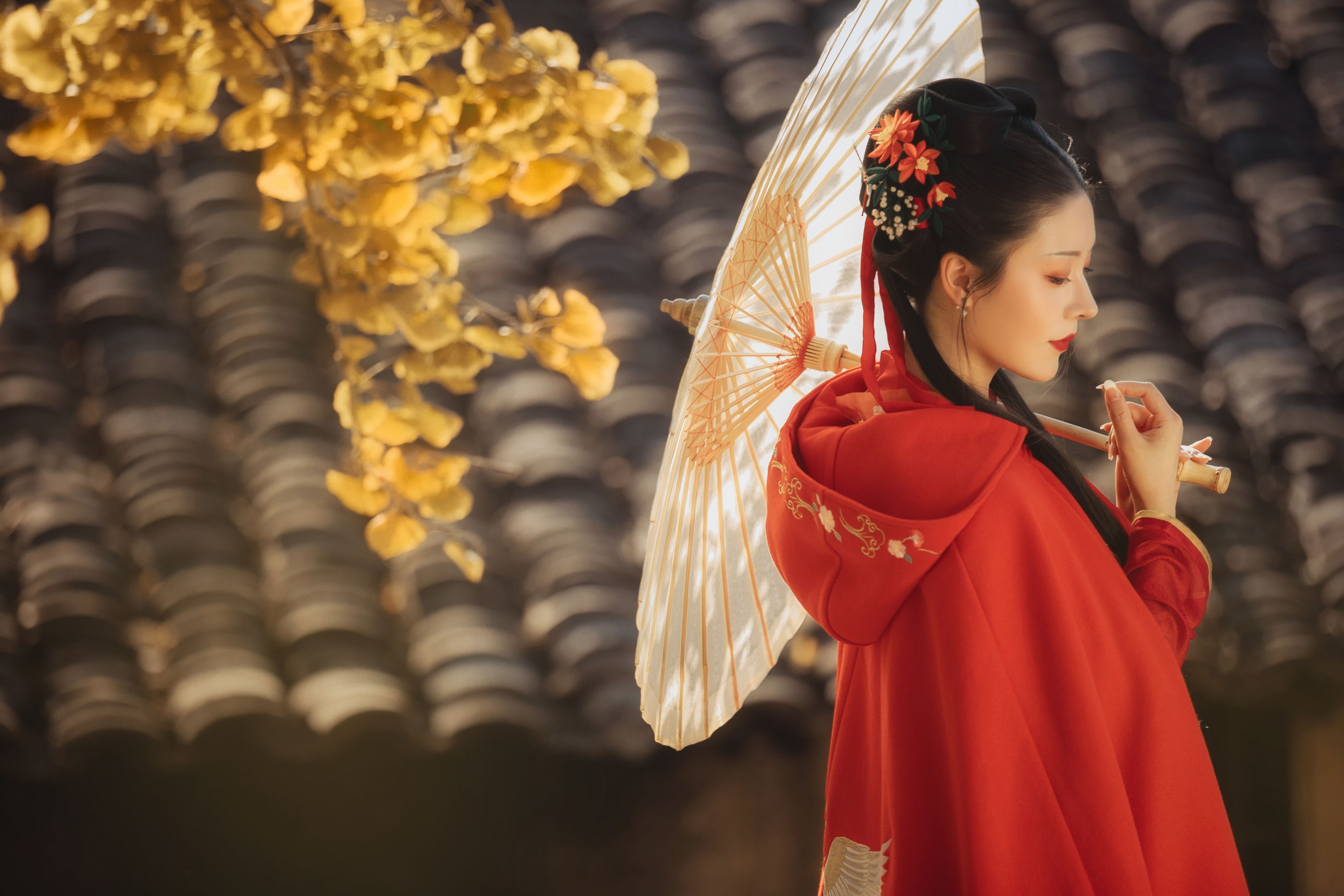葵花花花儿 – 《长相思》[23P] 插图3