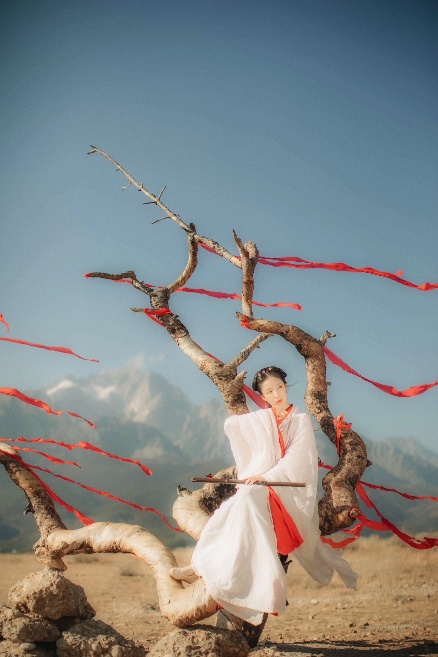 图片[6]-流韶 – 《红妆》[20P]-COS写真在线网