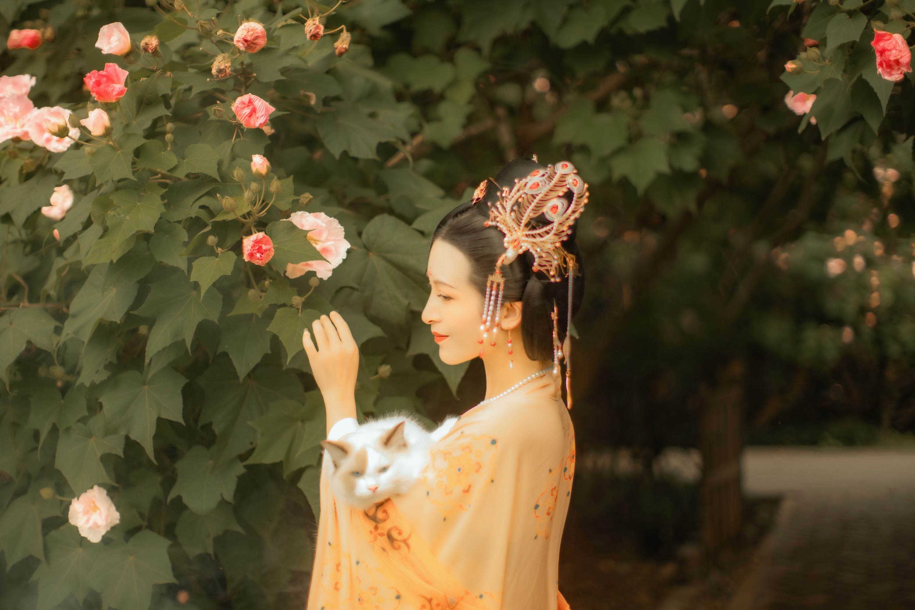 修水凝花 – 《芙蓉词》[38P] 插图4