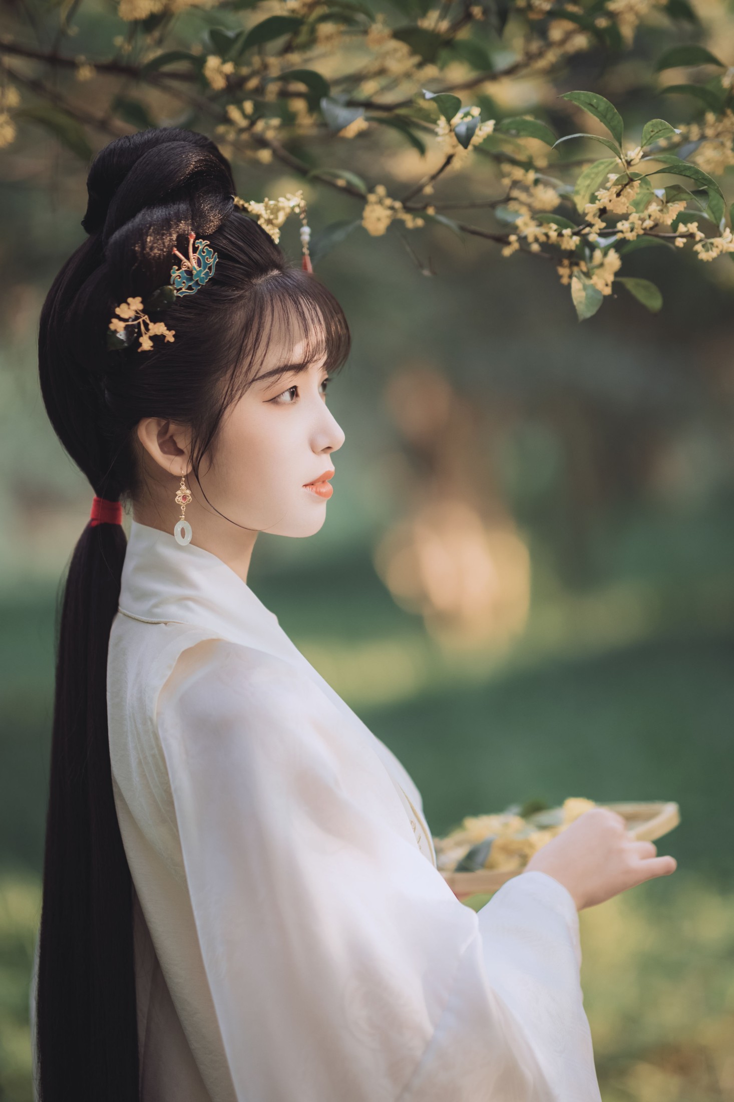 图片[3]-一只阿梦崽 – 《桂花酿》[36P]-COS写真在线网