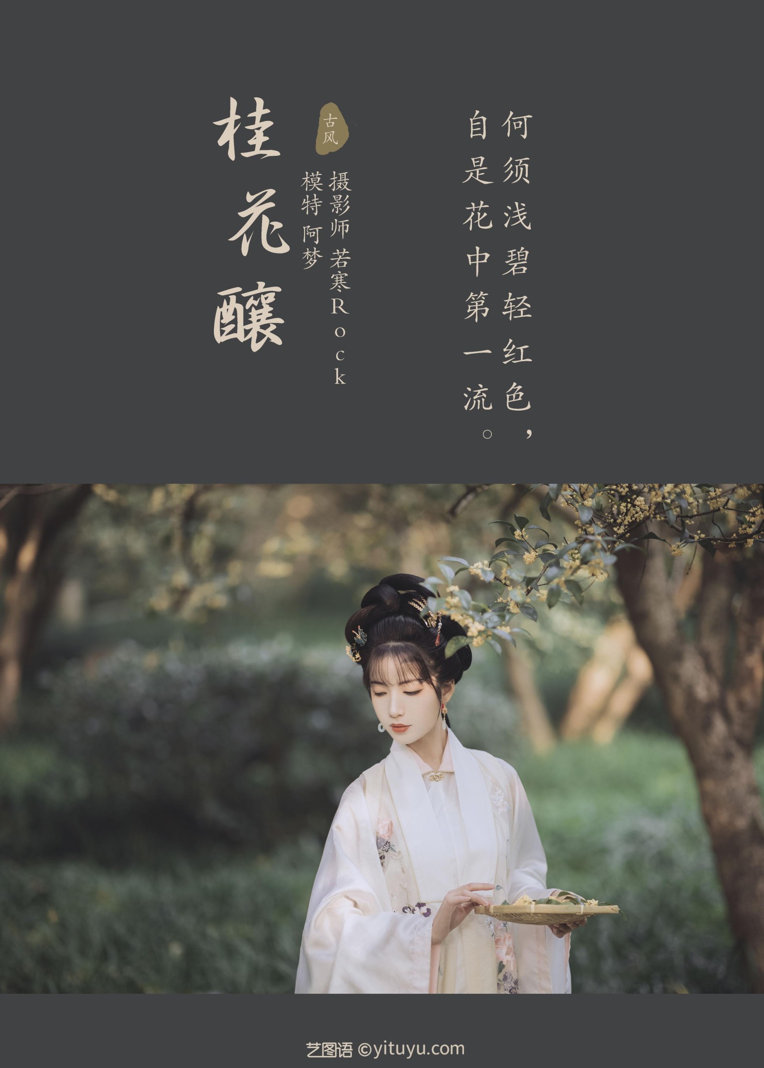 图片[2]-一只阿梦崽 – 《桂花酿》[36P]-COS写真在线网