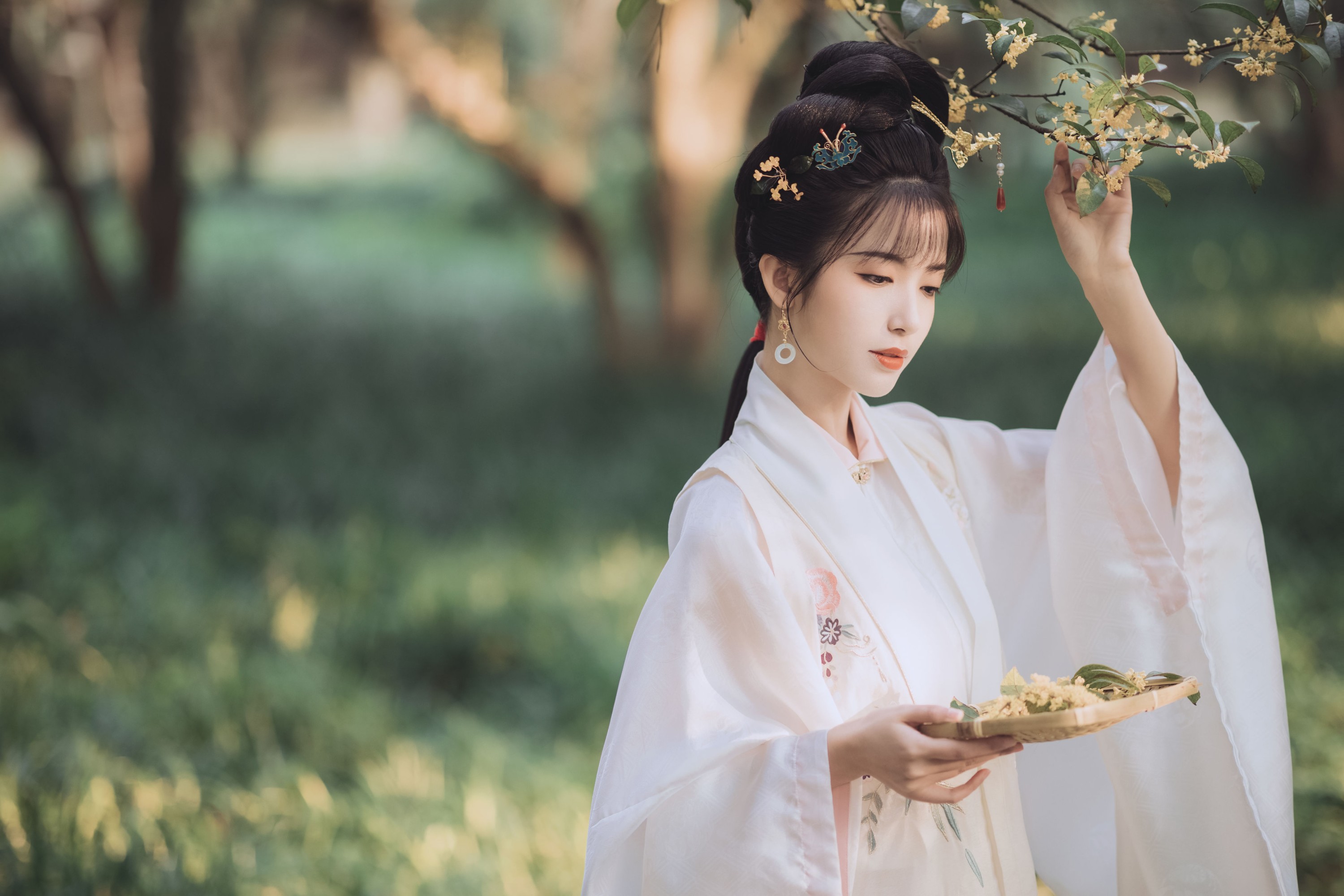 图片[6]-一只阿梦崽 – 《桂花酿》[36P]-COS写真在线网