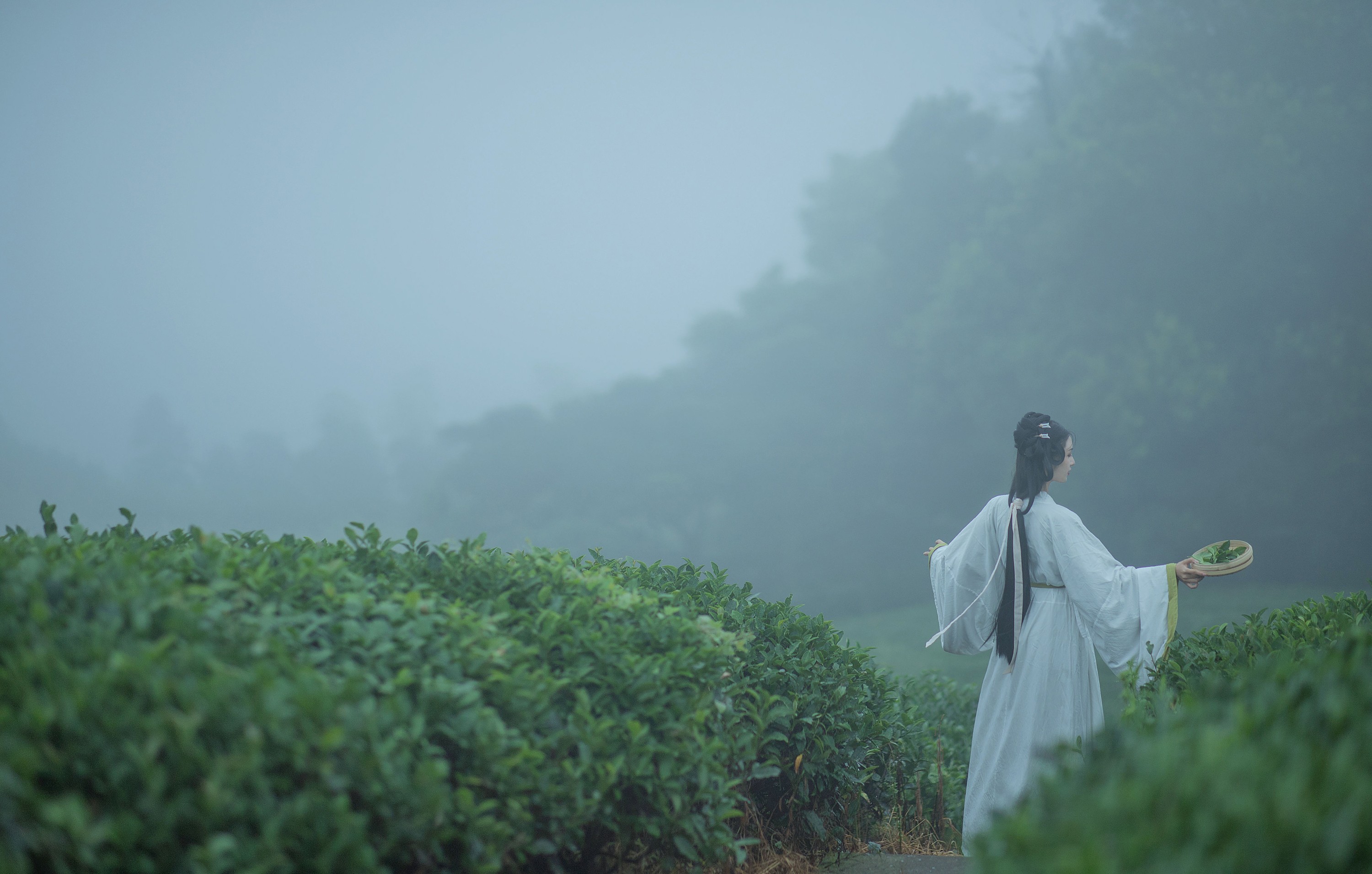 十八重川 – 《采茶女》[20P] 插图4