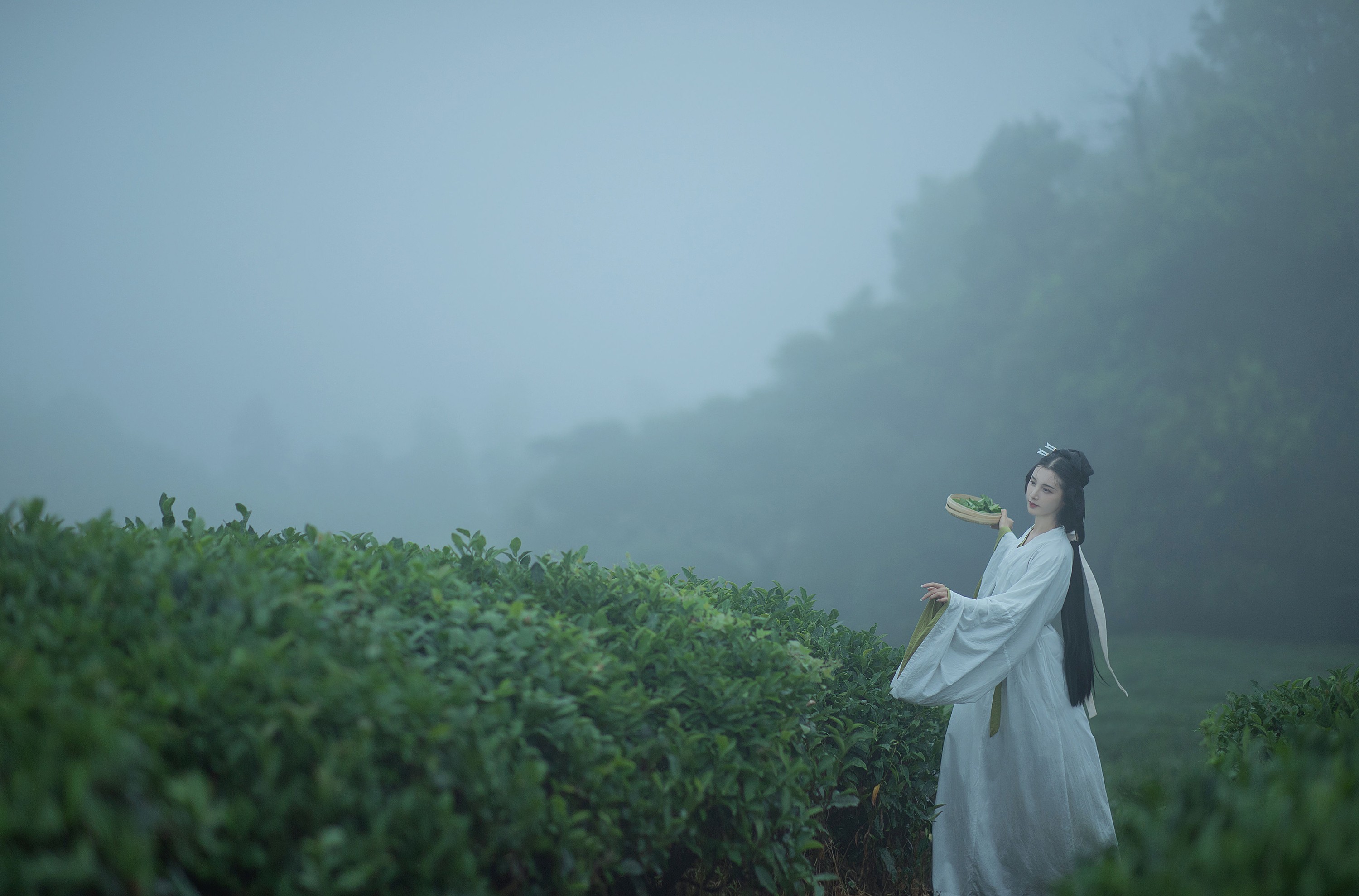十八重川 – 《采茶女》[20P] 插图5