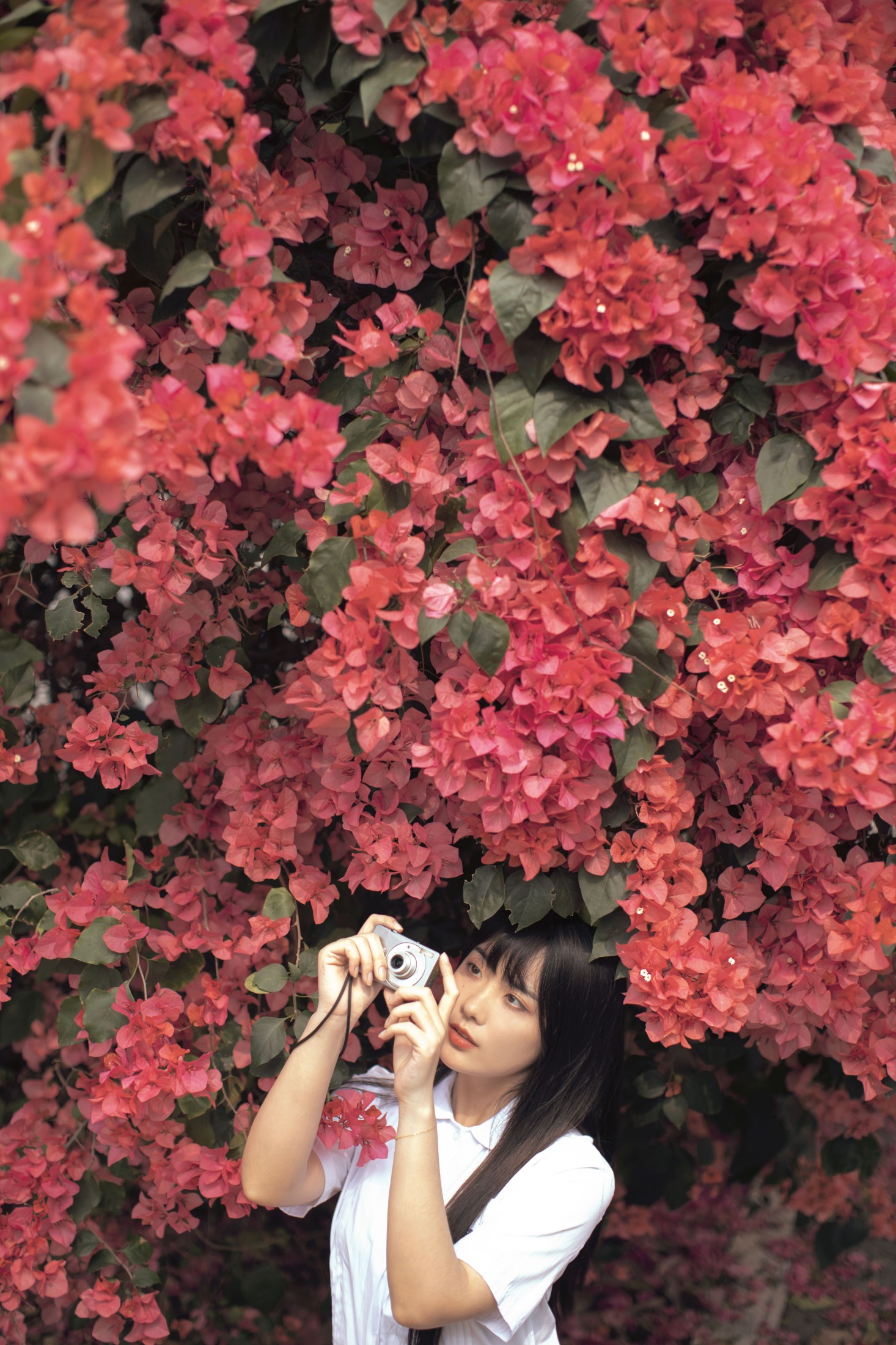 图片[6]-黄子卿_sunny – 《花季》[27P]-COS写真在线网