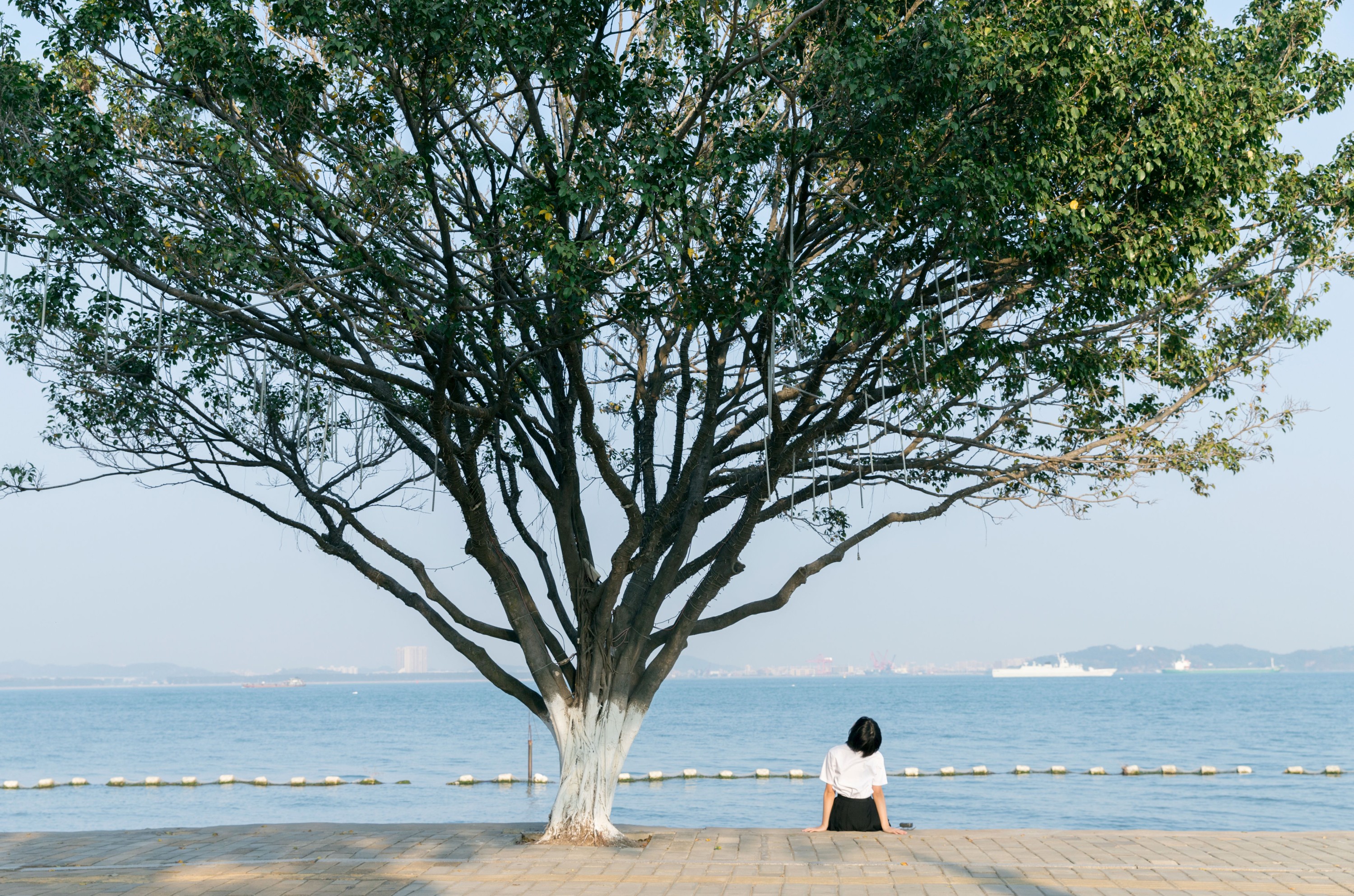 图片[6]-yeye – 《海街日记》[31P]-COS写真在线网