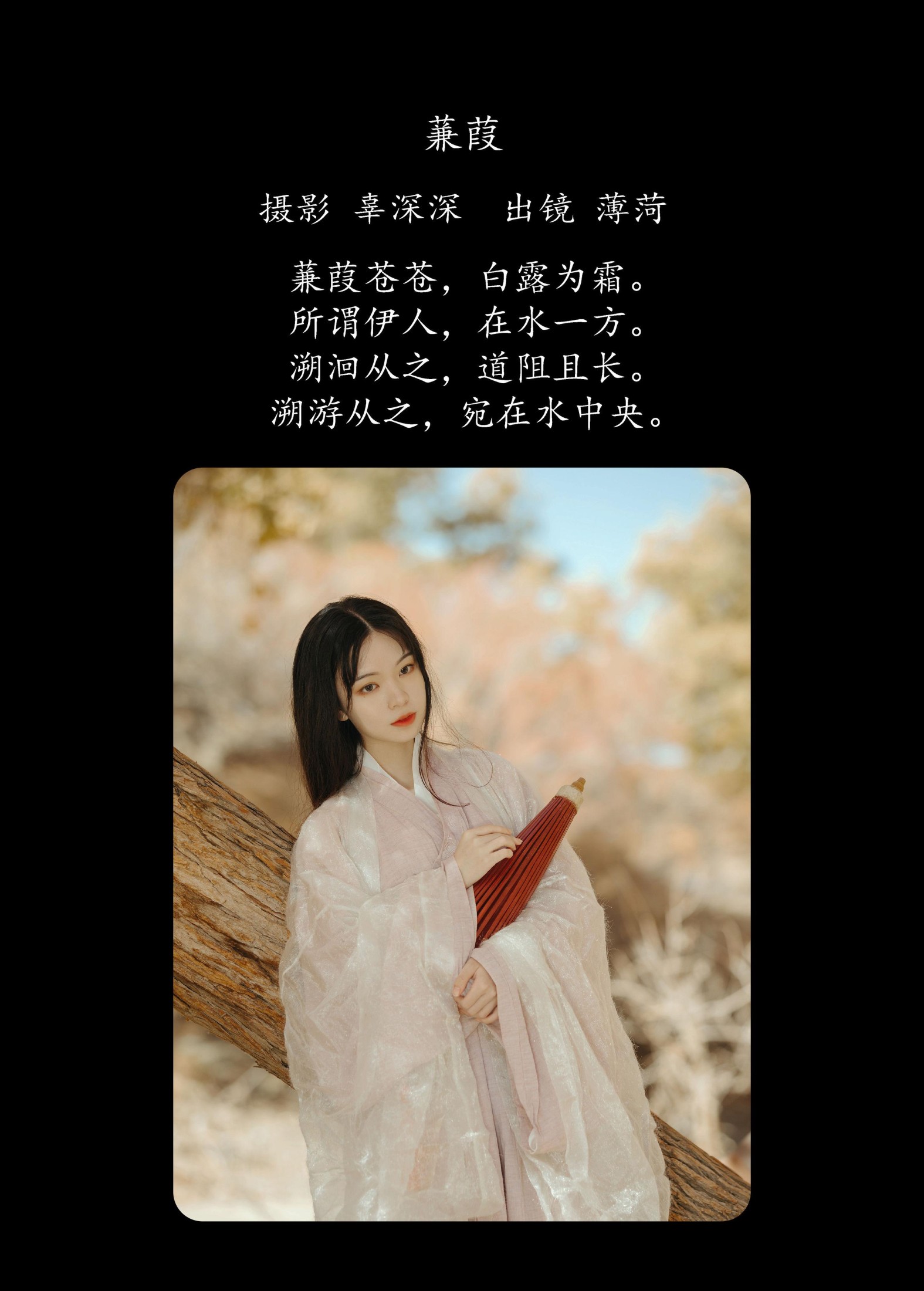 薄菏 – 《蒹葭》[26P] 插图2
