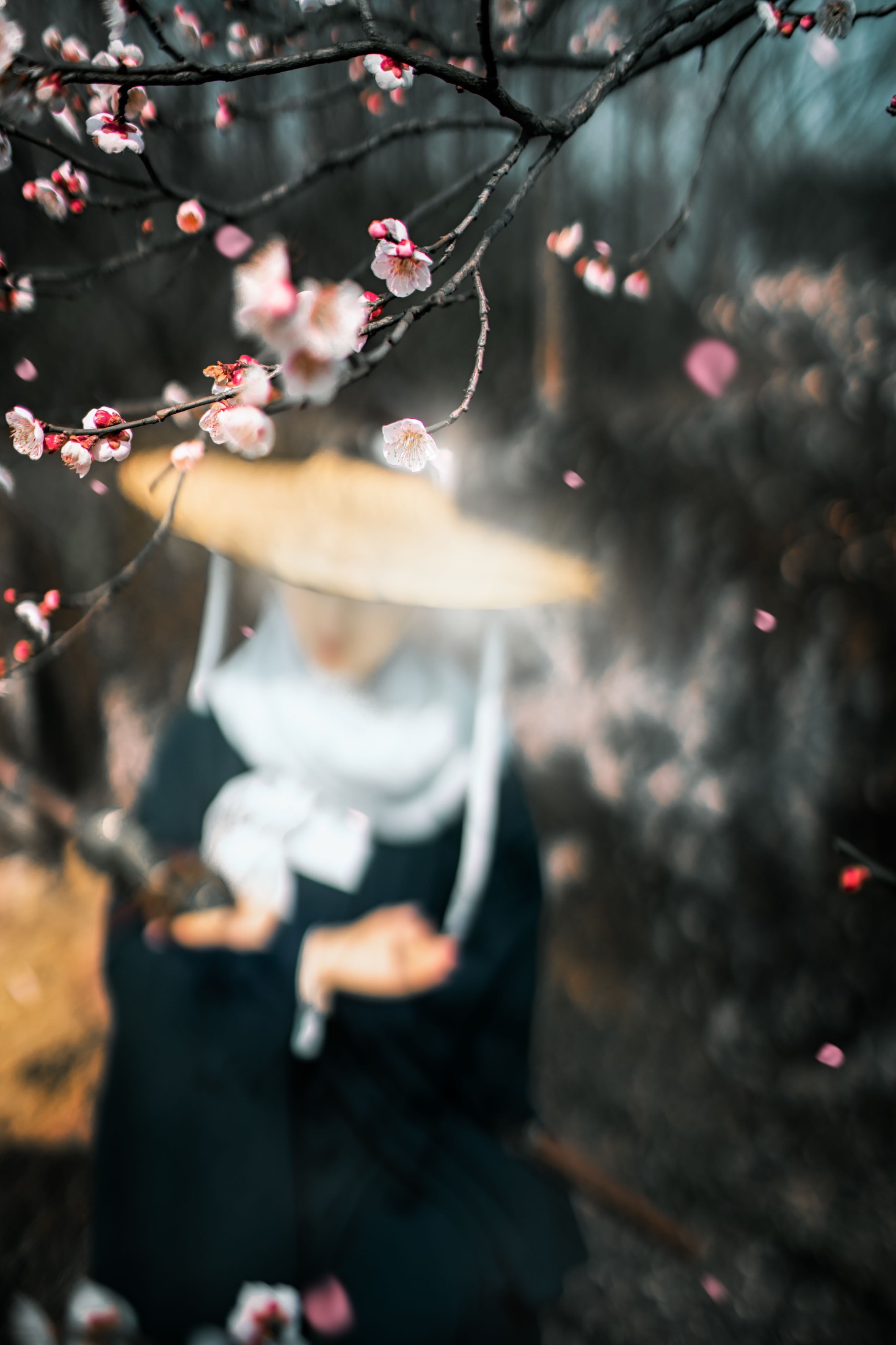 图片[4]-初茶 – 《少年歌》[39P]-COS写真在线网