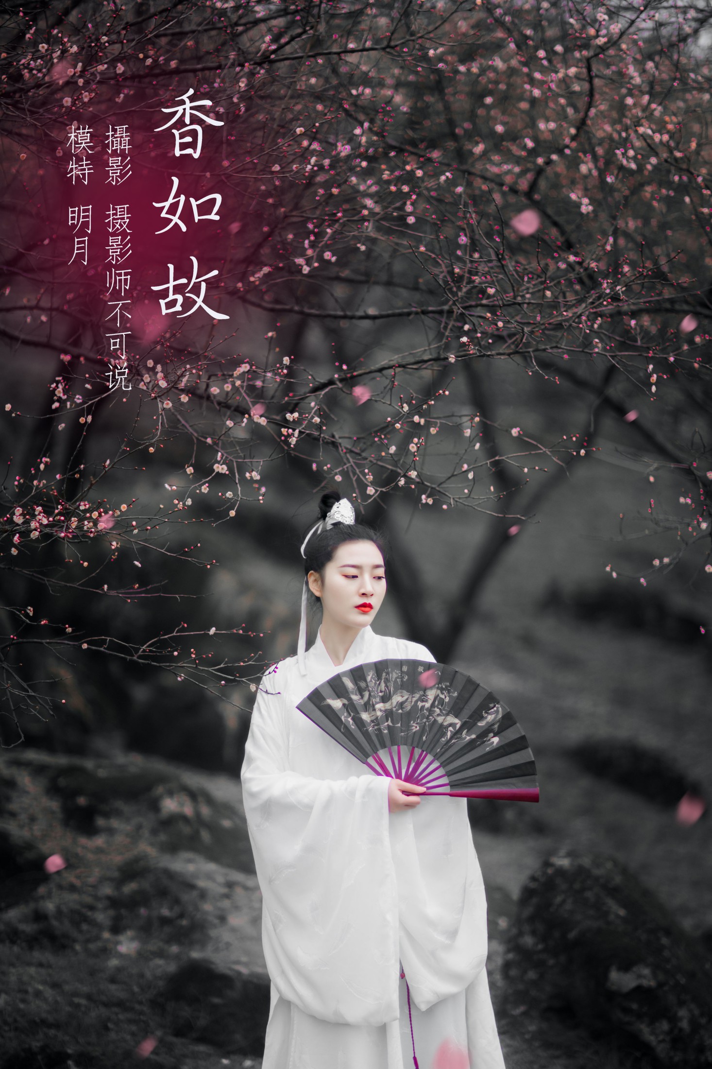 明月 – 《香如故》[36P] 插图1