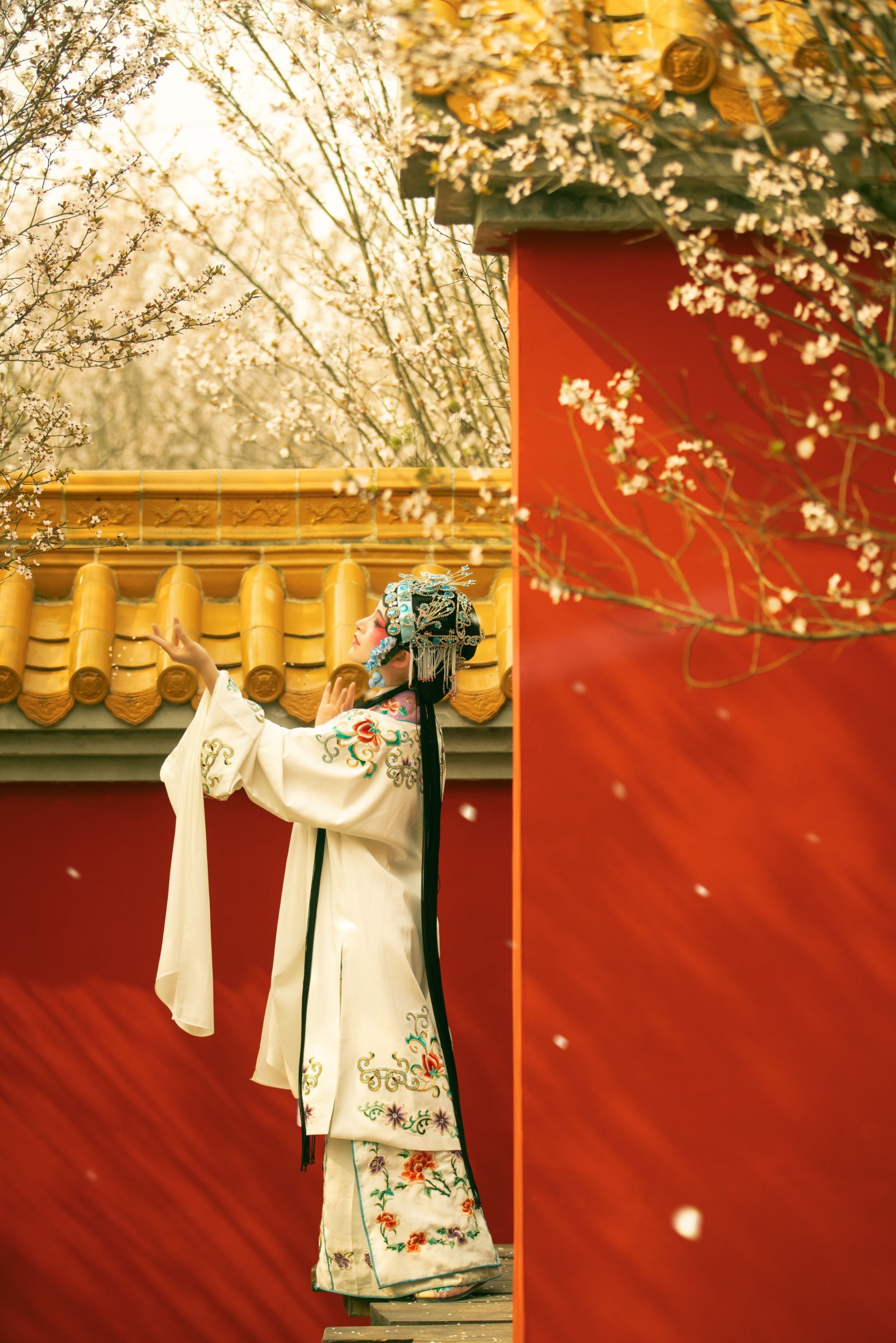 修水凝花 – 《花满枝》[23P] 插图5