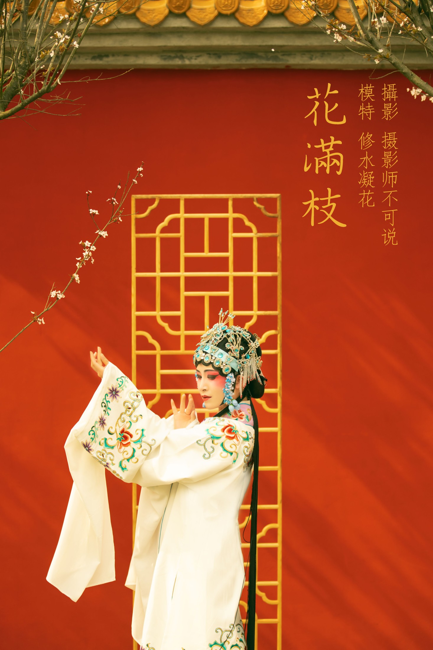 修水凝花 – 《花满枝》[23P] 插图1