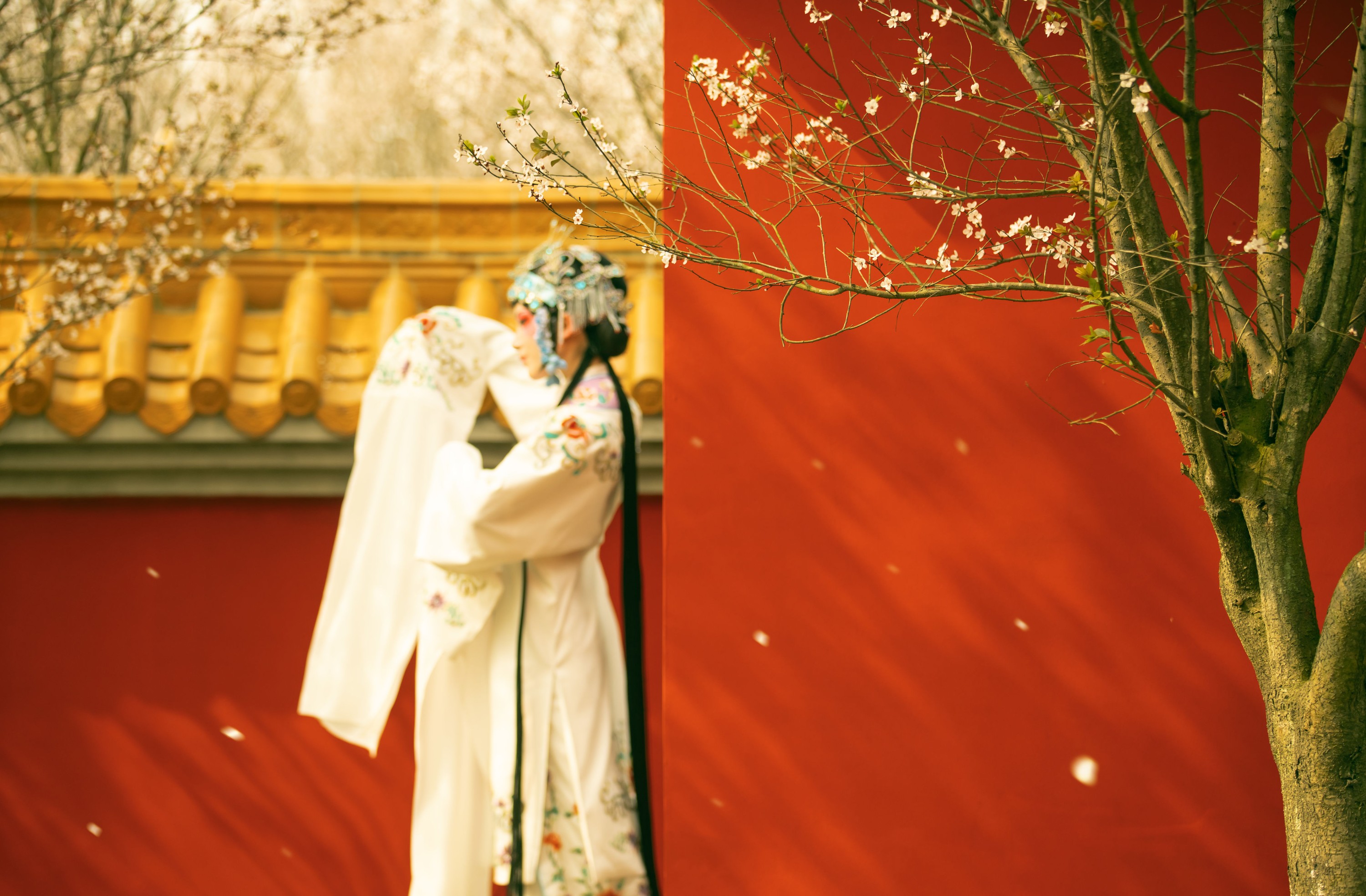 图片[6]-修水凝花 – 《花满枝》[23P]-COS写真在线网