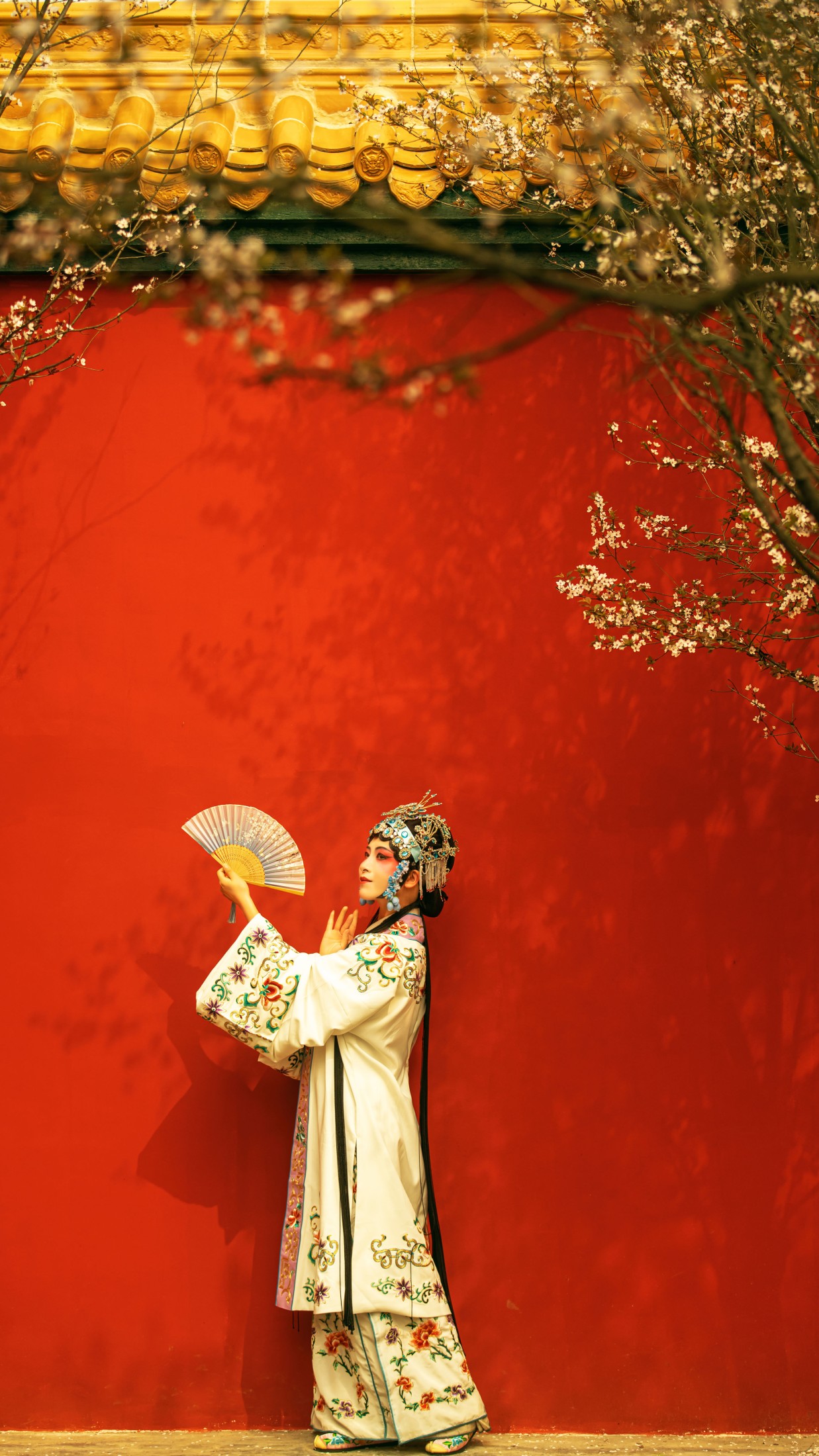修水凝花 – 《花满枝》[23P] 插图3