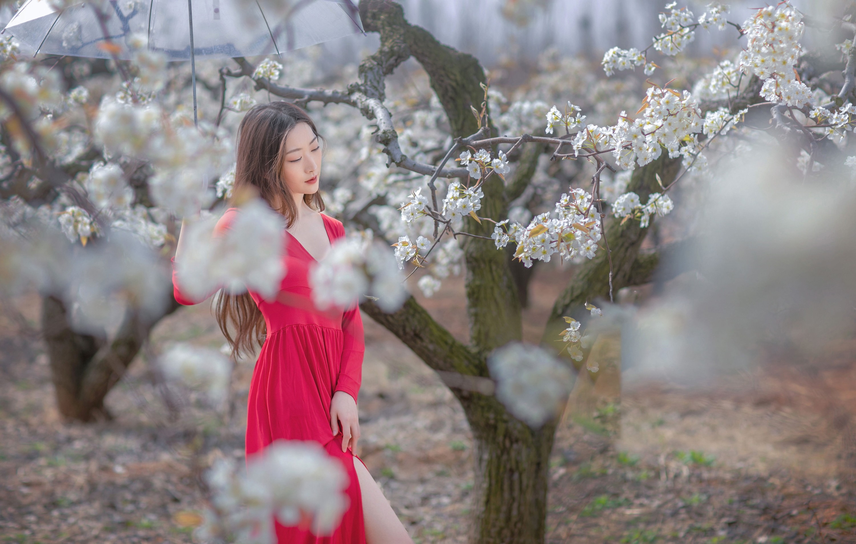 图片[6]-如意 – 《一袭红妆拂梨花》[32P]-COS写真在线网