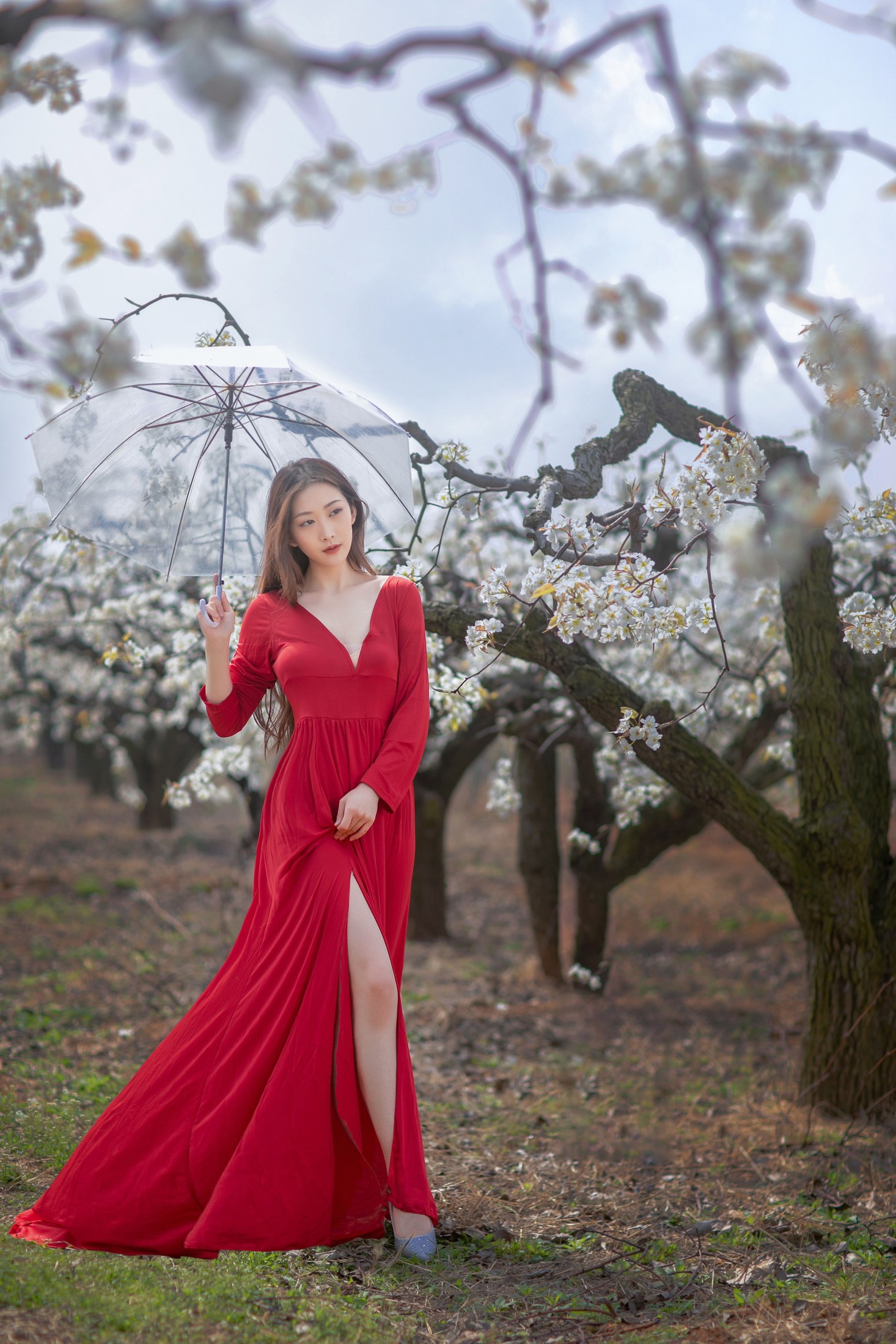 如意 – 《一袭红妆拂梨花》[32P] 插图5
