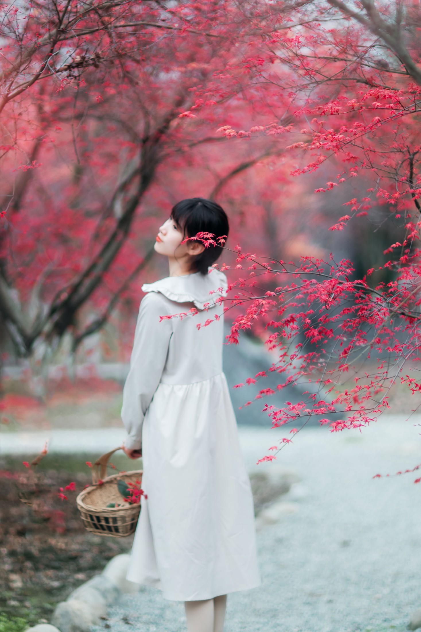 图片[6]-初茶 – 《枫林春晓》[39P]-COS写真在线网