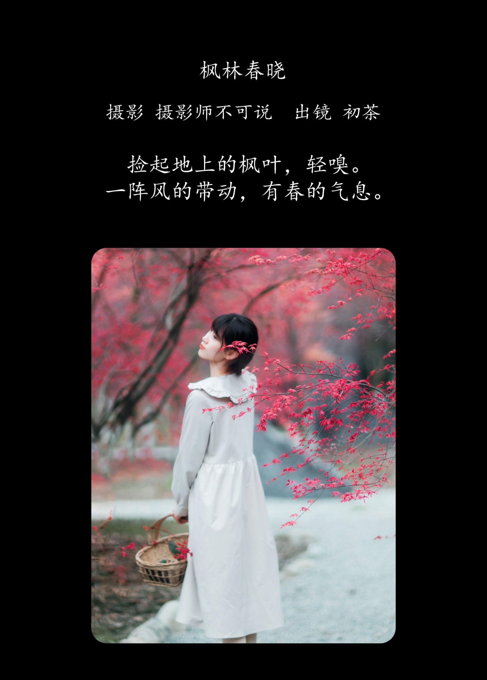 图片[2]-初茶 – 《枫林春晓》[39P]-COS写真在线网