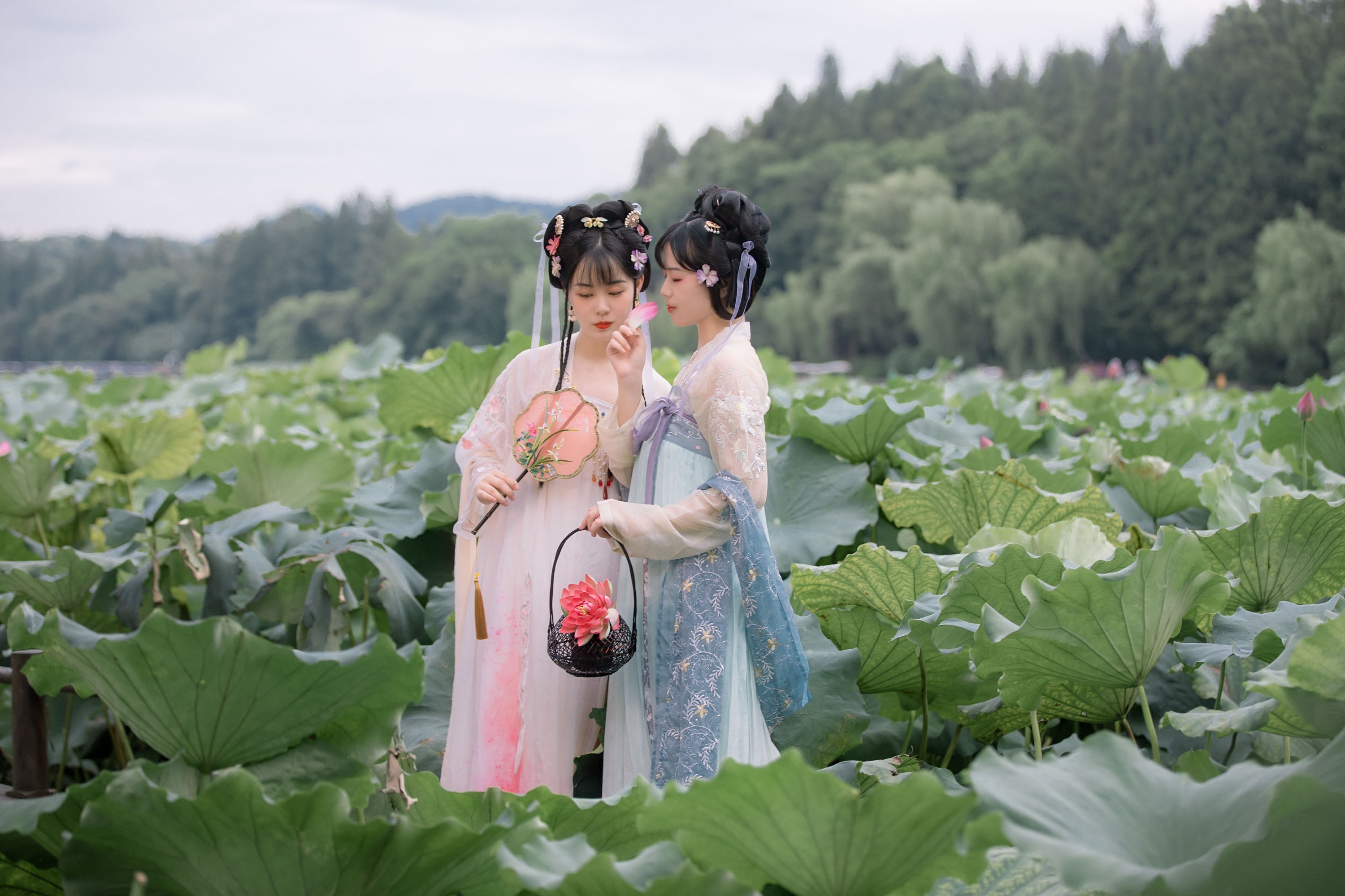 乌啾啾 僵僵 – 《赏荷》[24P] 插图3