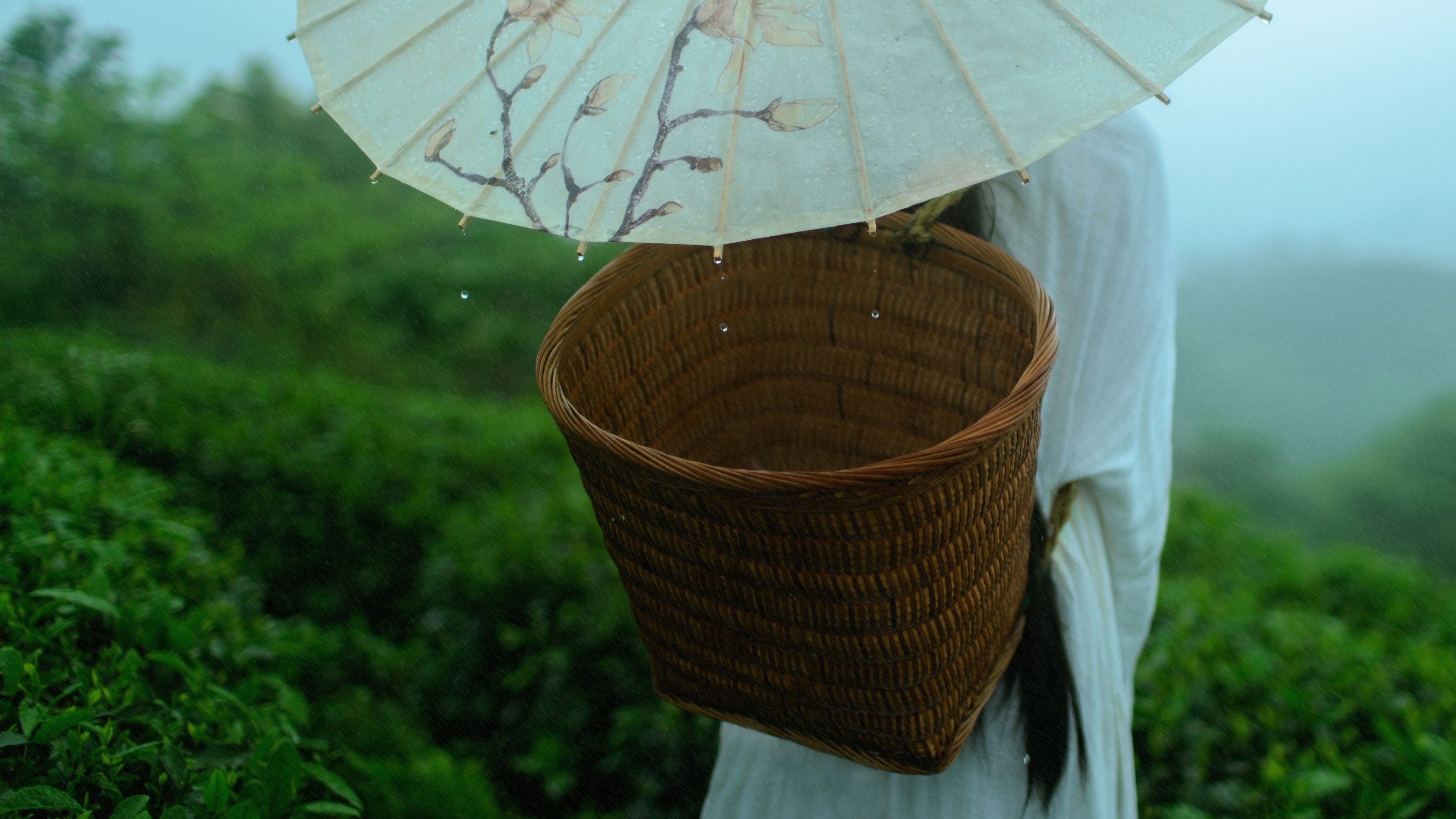 图片[6]-初茶 – 《空山灵雨》[27P]-COS写真在线网