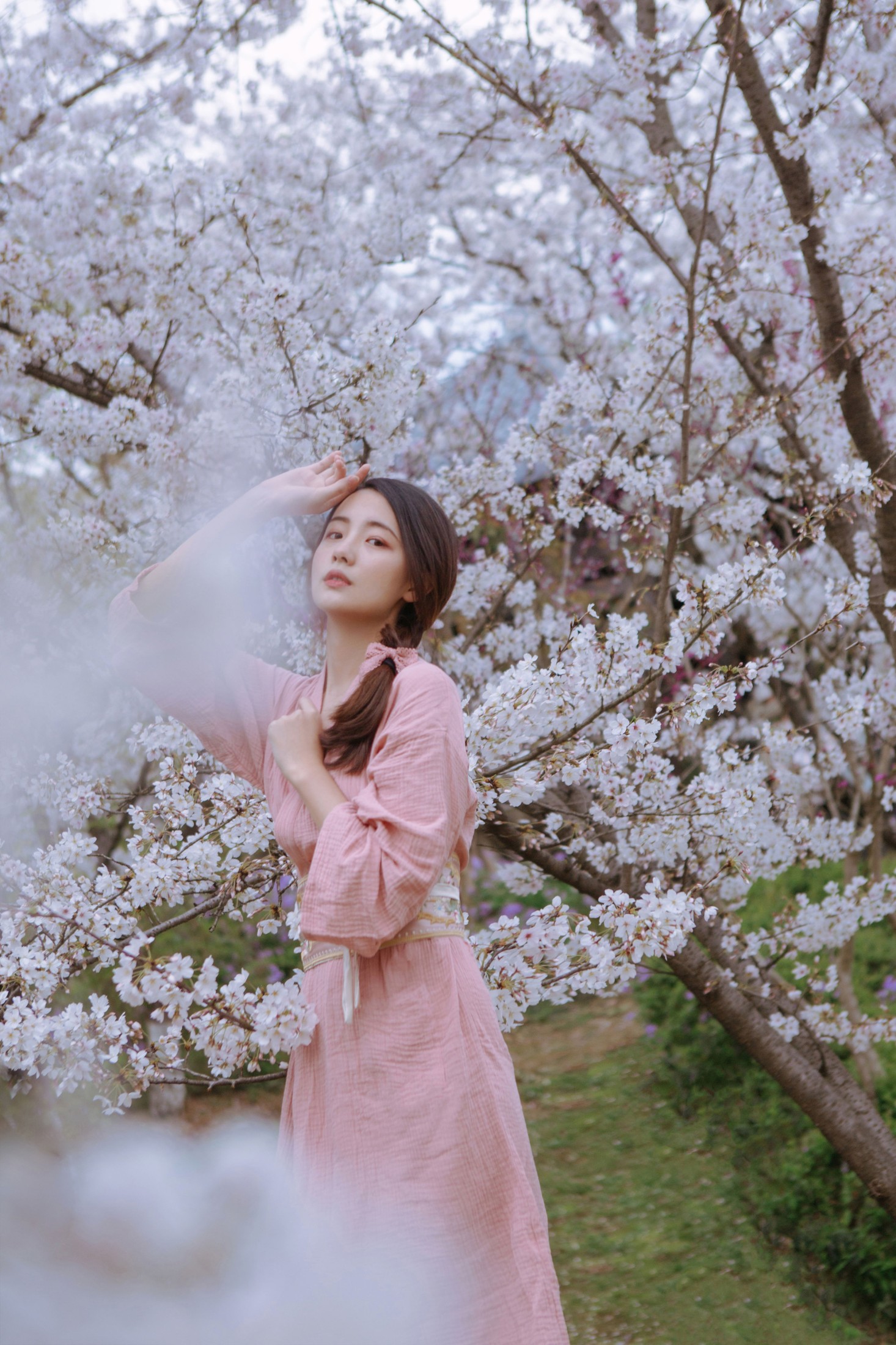 一只小四月_ – 《起风渐暖，樱花将灿》[24P] 插图3