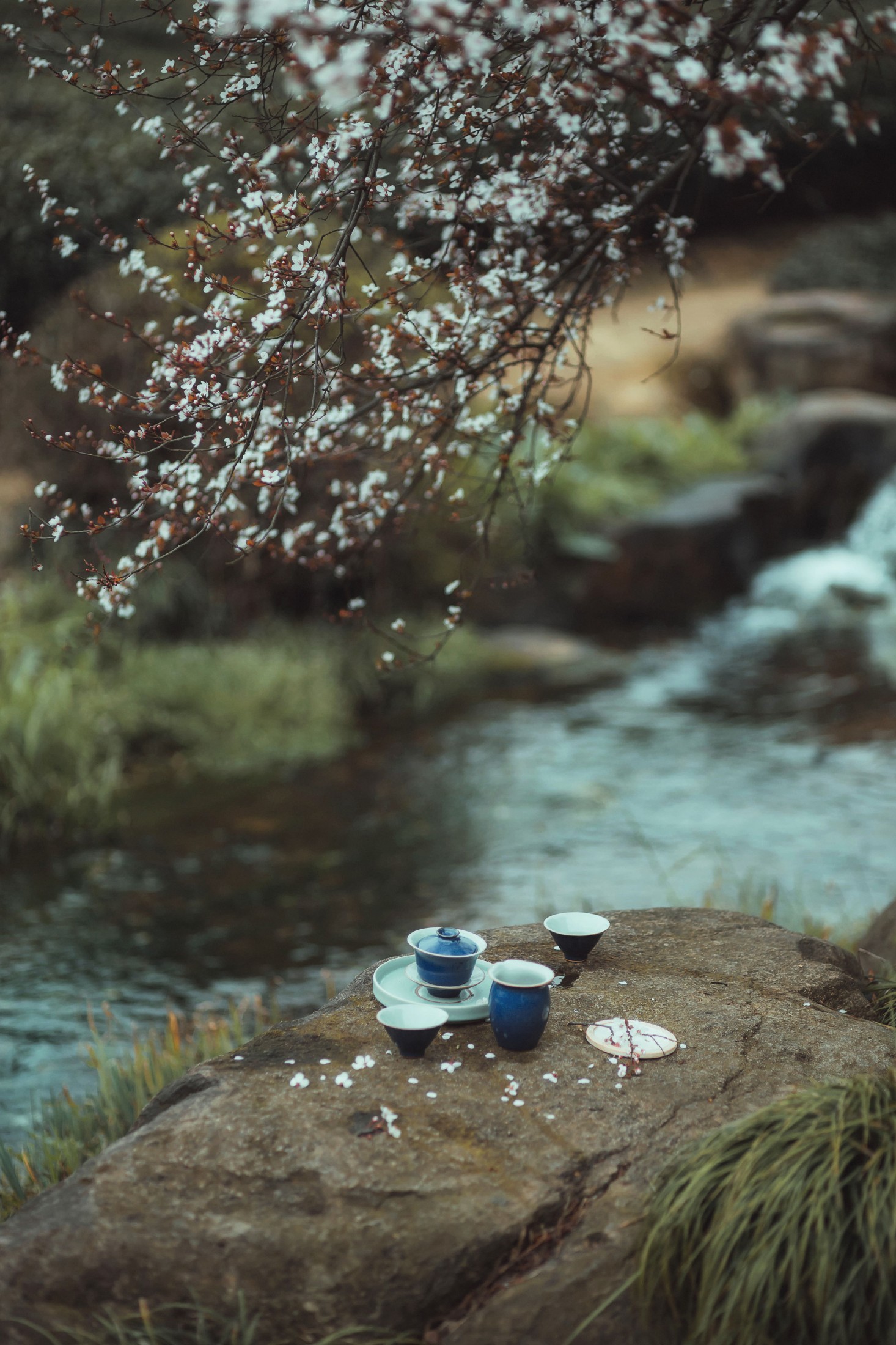 是敬賢呀 – 《山泉煎茶》[20P] 插图5