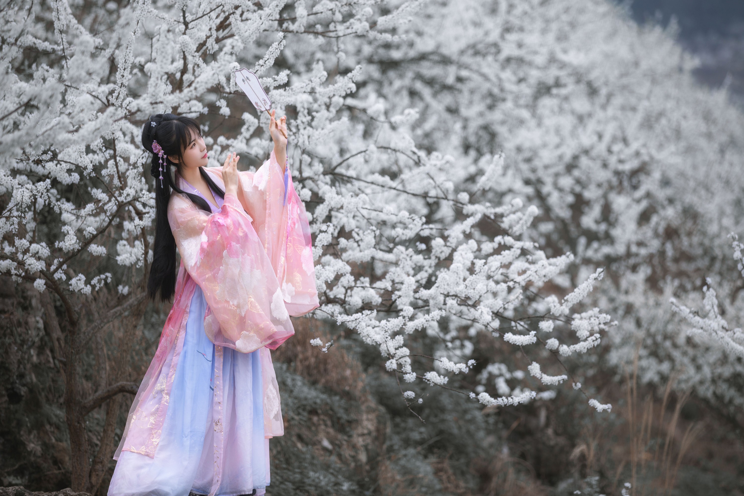 图片[6]-赵瑞洁EZ_ – 《杏花弦外雨》[23P]-COS写真在线网