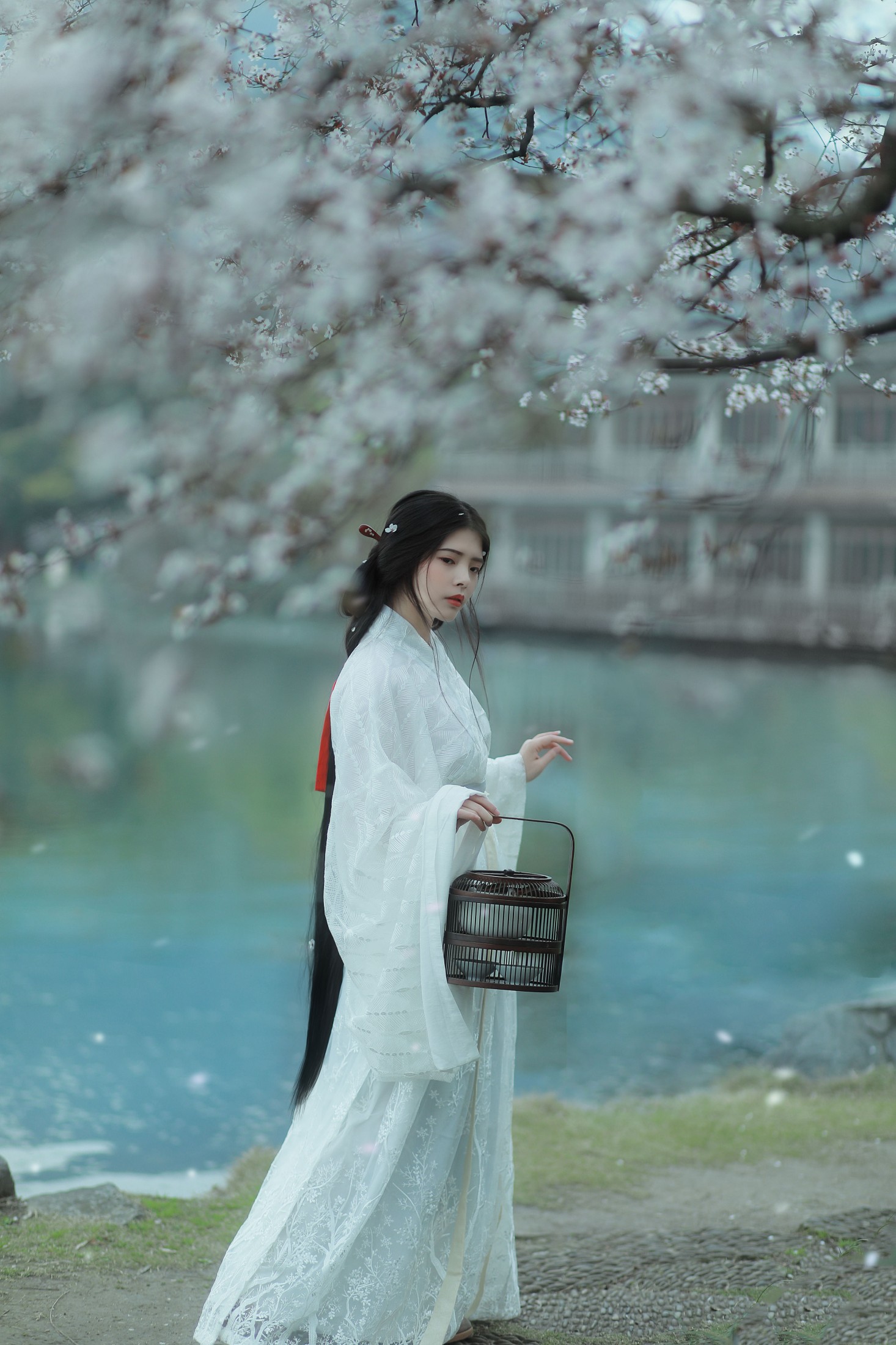 Abbye_e章 – 《杏花雨》[21P] 插图3