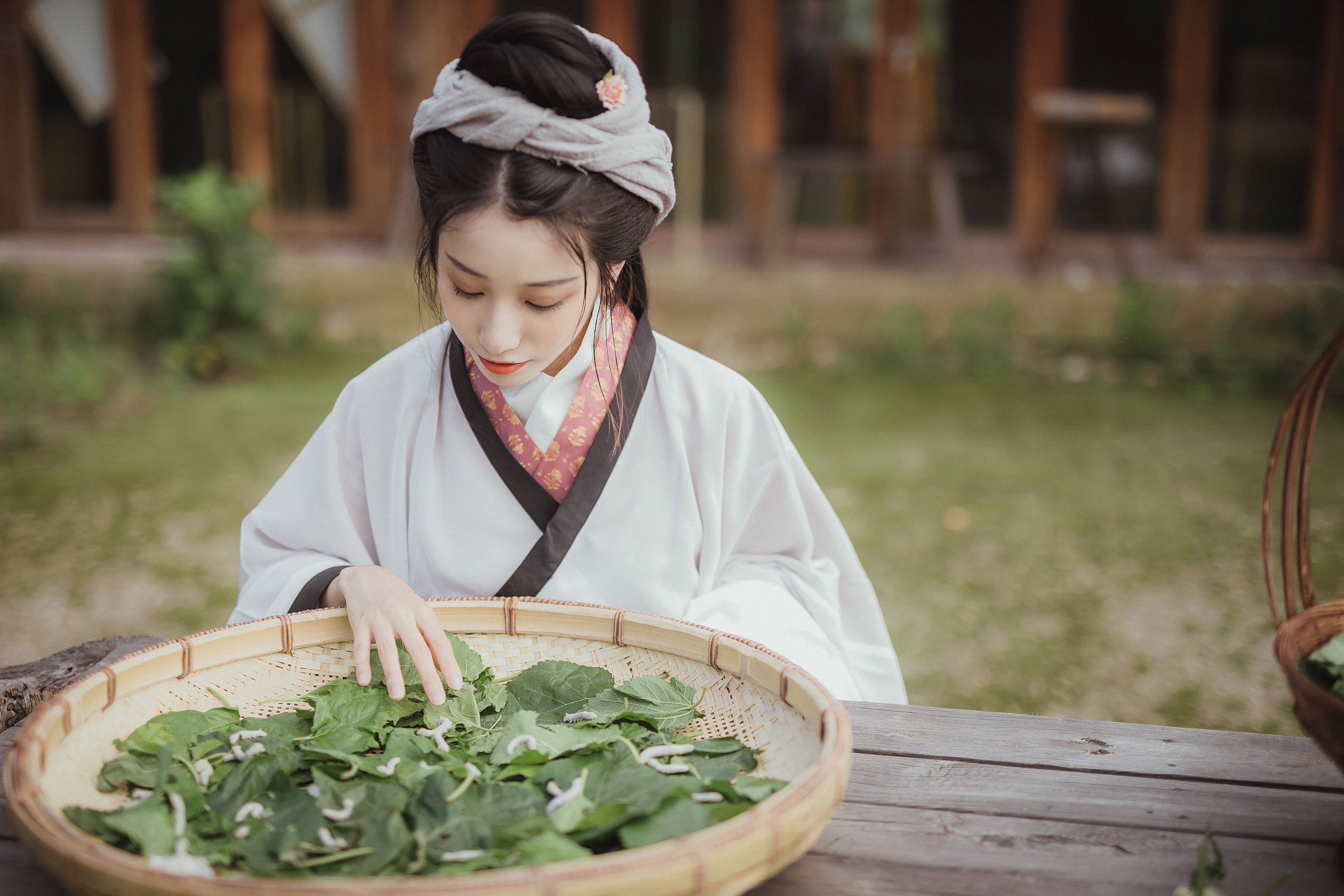 小清菡呀  – 《罗敷》[26P] 插图4
