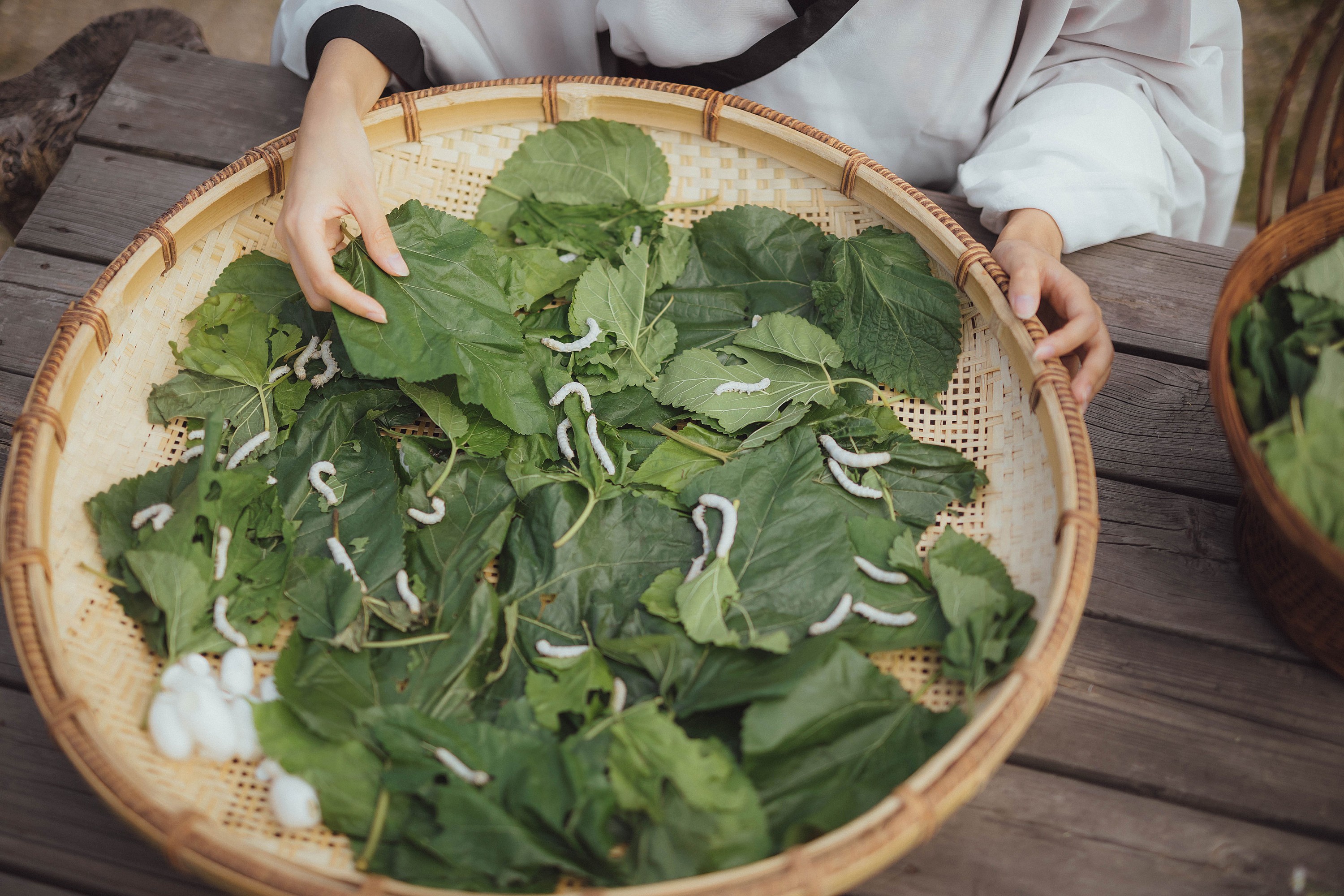 图片[6]-小清菡呀  – 《罗敷》[26P]-COS写真在线网