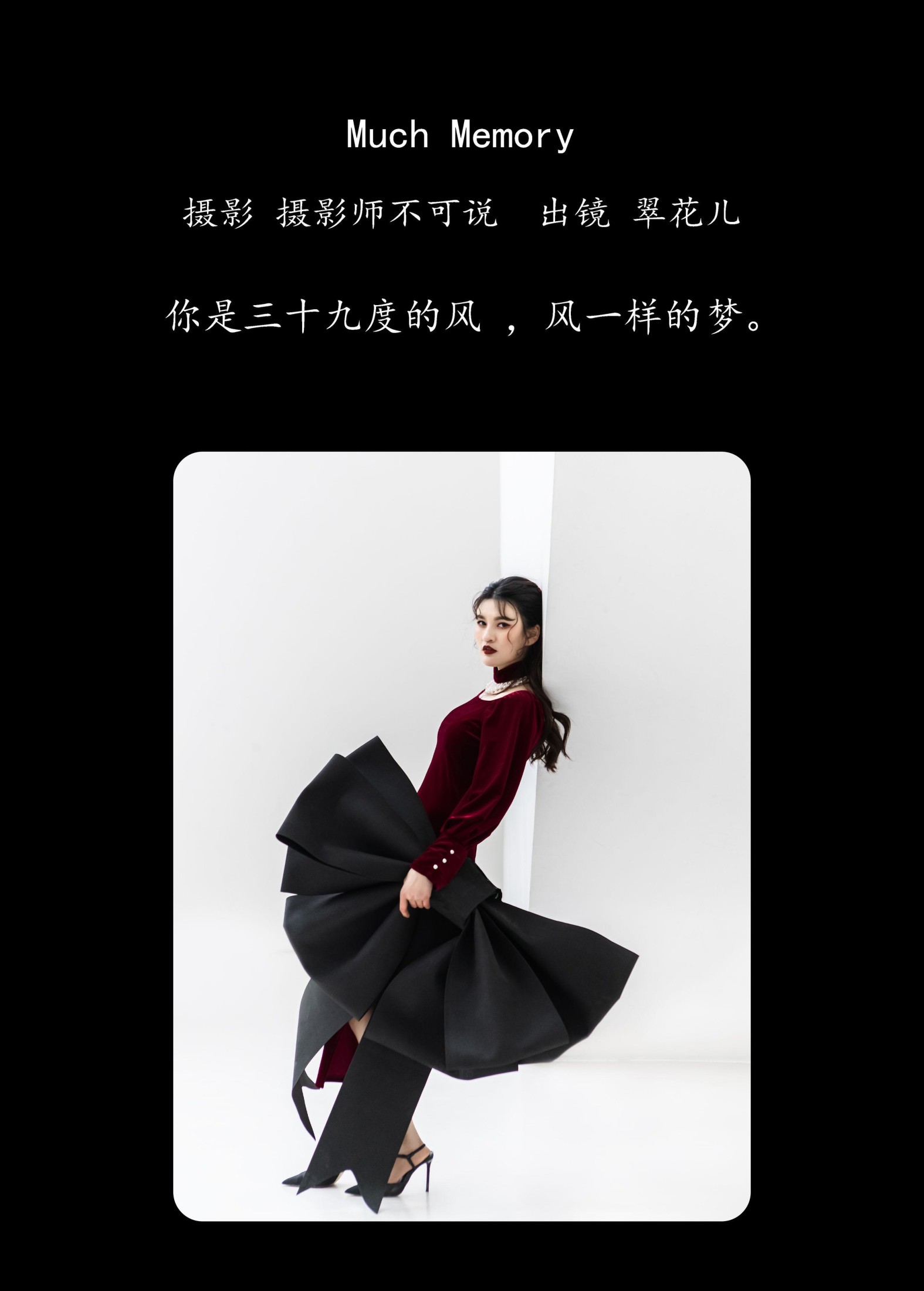翠花儿 – 《Much Memory》[28P] 插图2