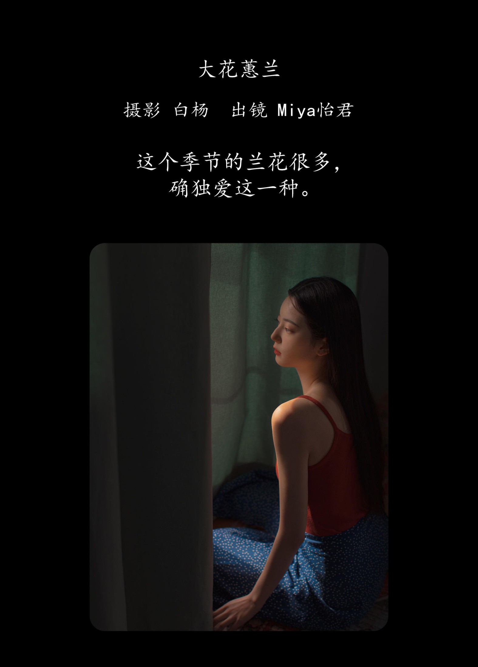 Miya怡君 – 《大花蕙兰》[24P] 插图2