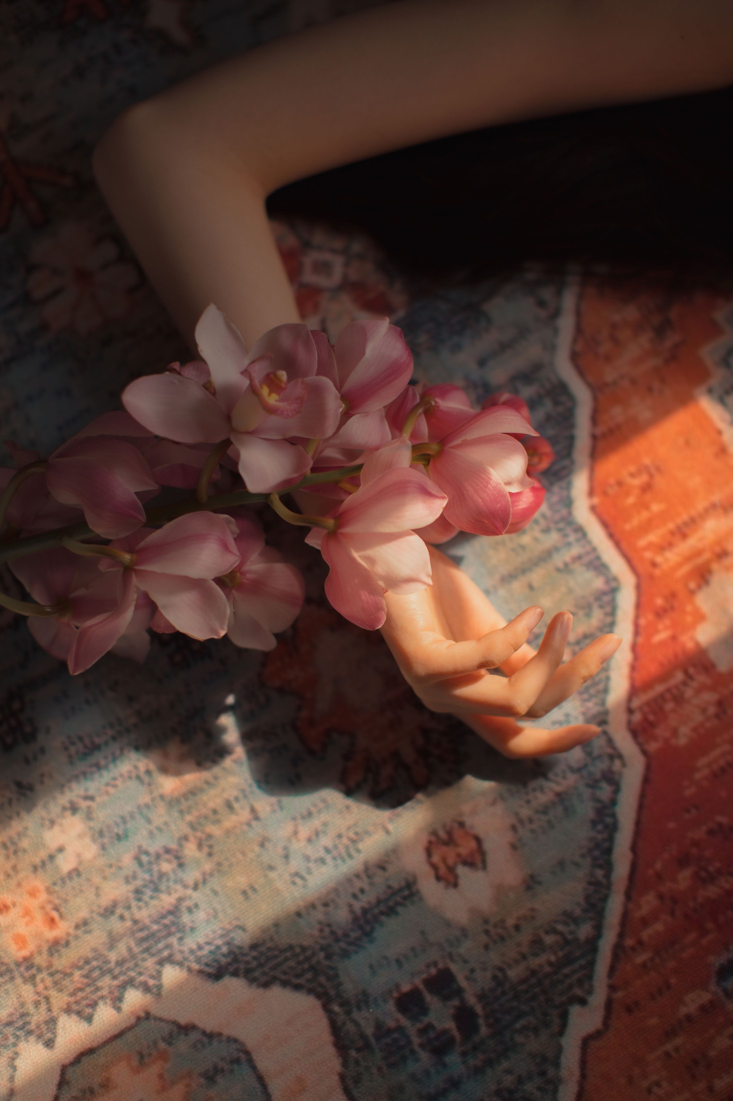Miya怡君 – 《大花蕙兰》[24P] 插图3