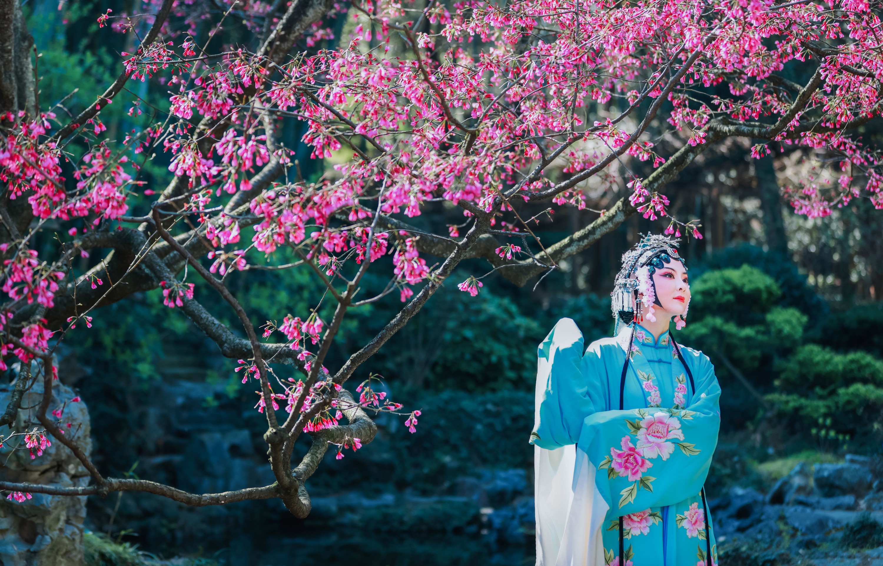 图片[6]-丹琼 – 《樱花有戏》[24P]-COS写真在线网