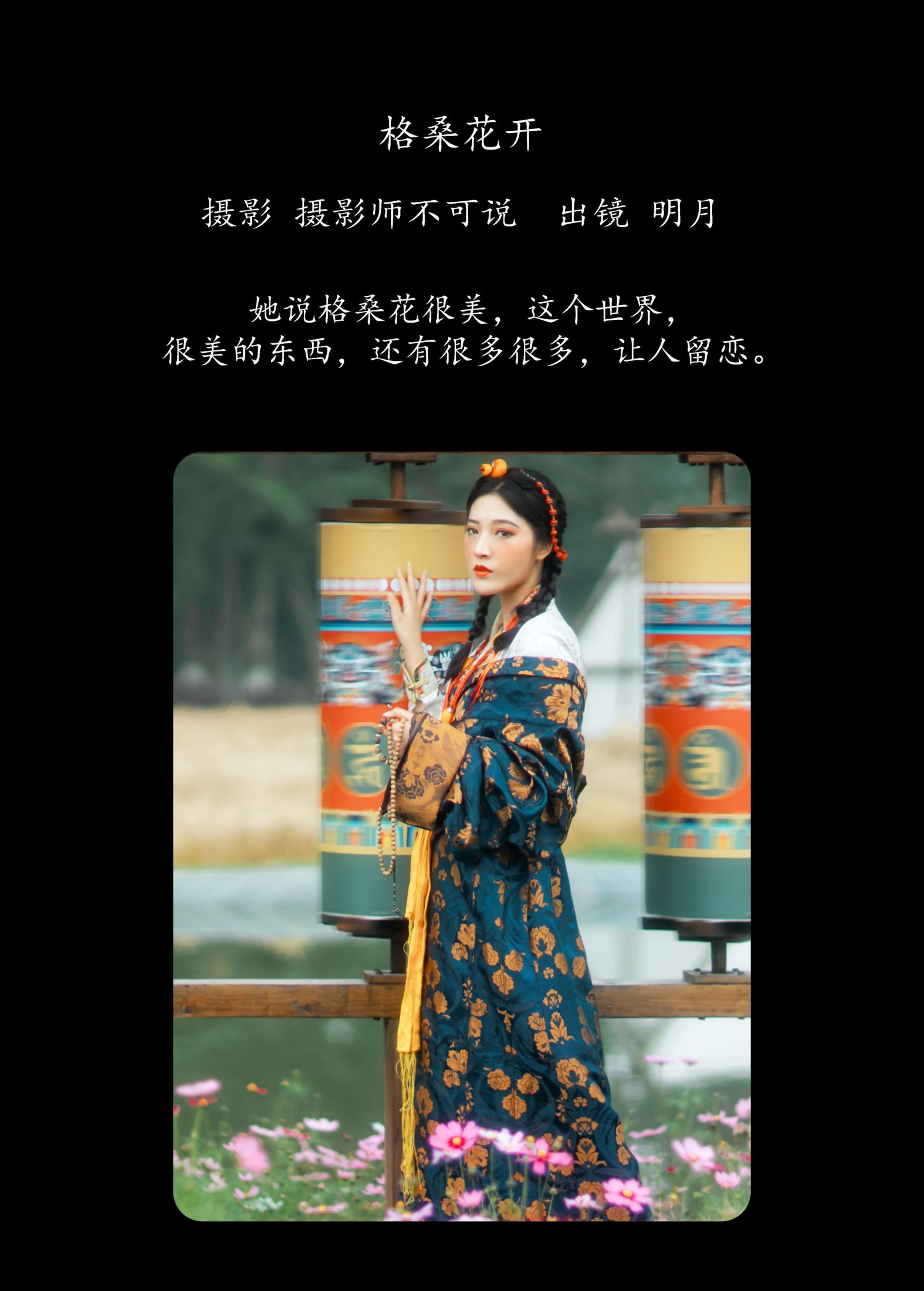 明月 – 《格桑花开》[36P] 插图2