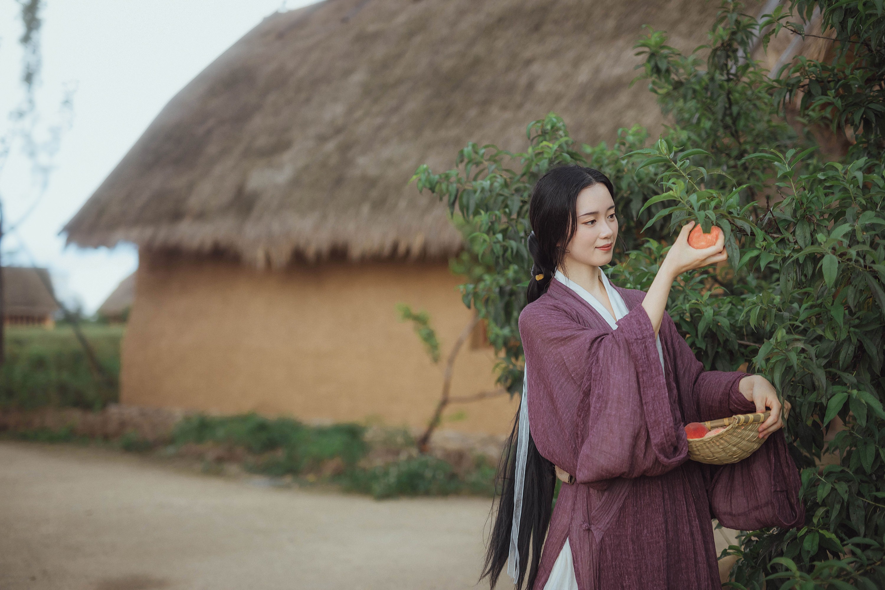 图片[6]-小猪 – 《投我以桃》[25P]-COS写真在线网