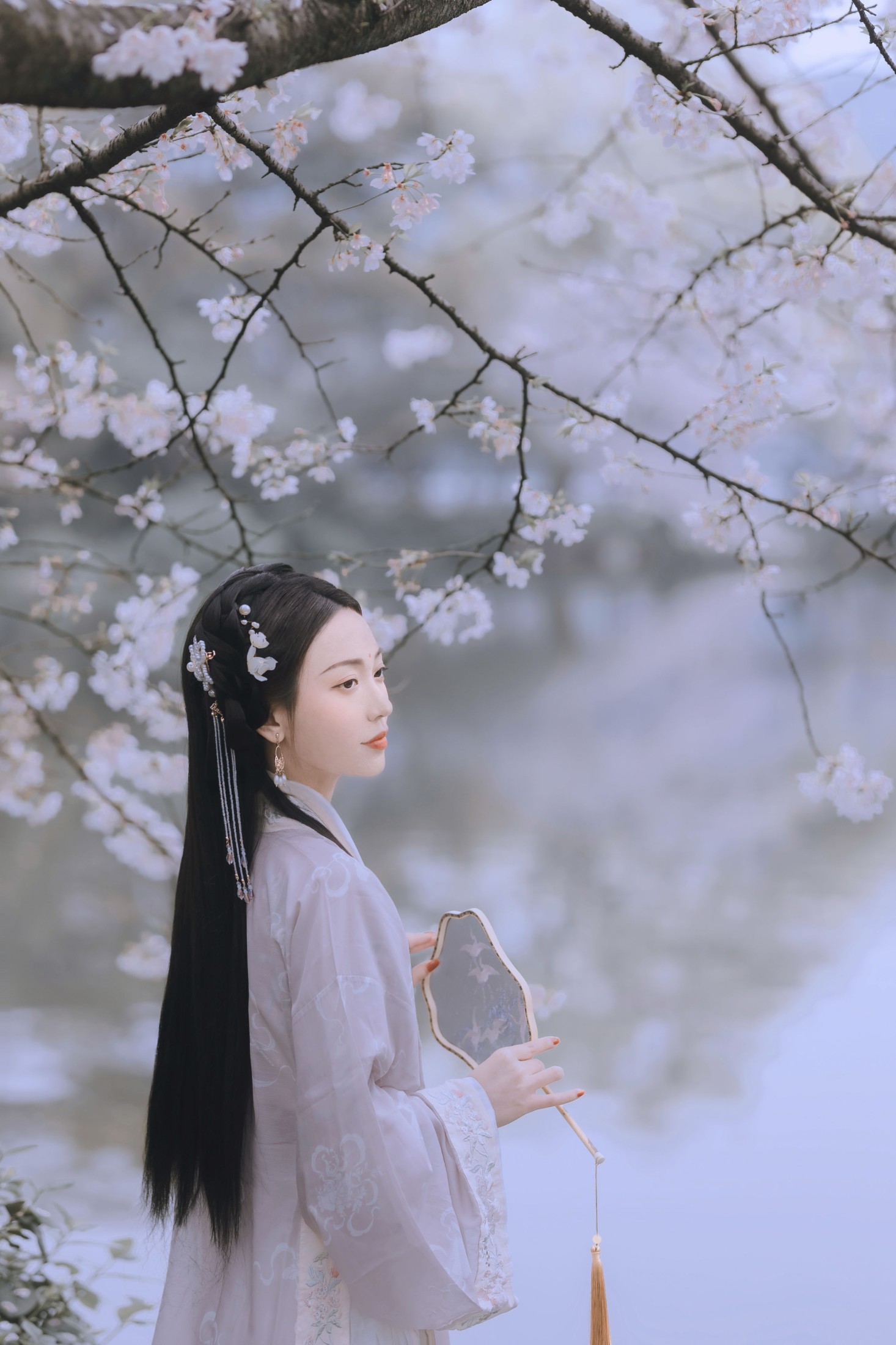 日鹅夜鹅想食烧鹅 – 《樱花落》[26P] 插图5