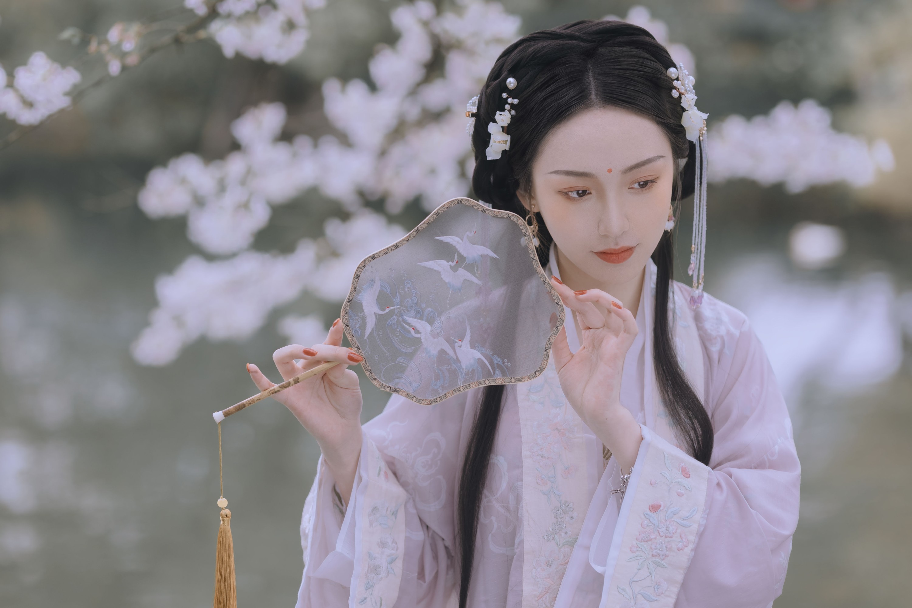 日鹅夜鹅想食烧鹅 – 《樱花落》[26P] 插图4