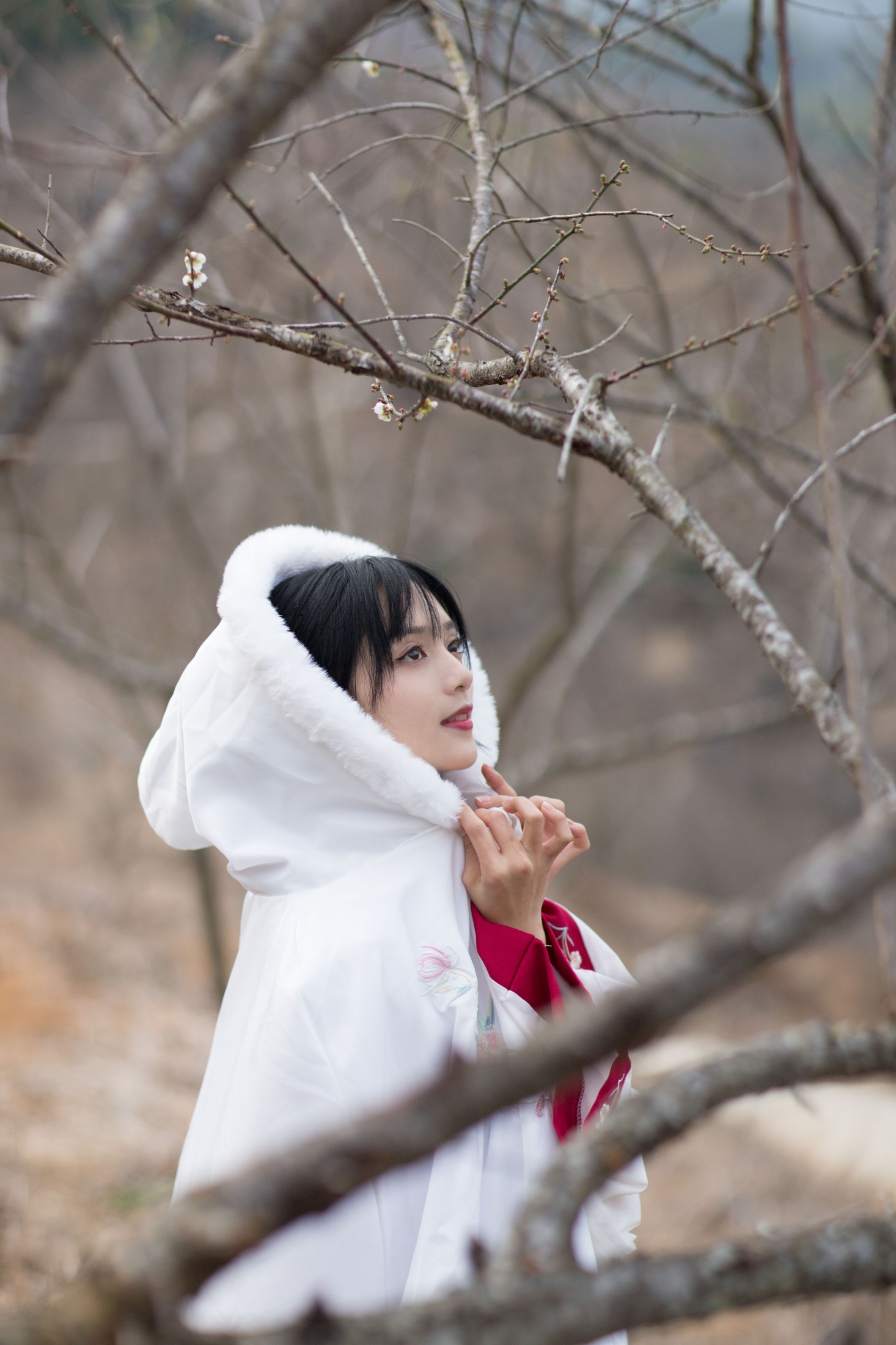 图片[3]-雨文 – 《红昭愿》[23P]-COS写真在线网